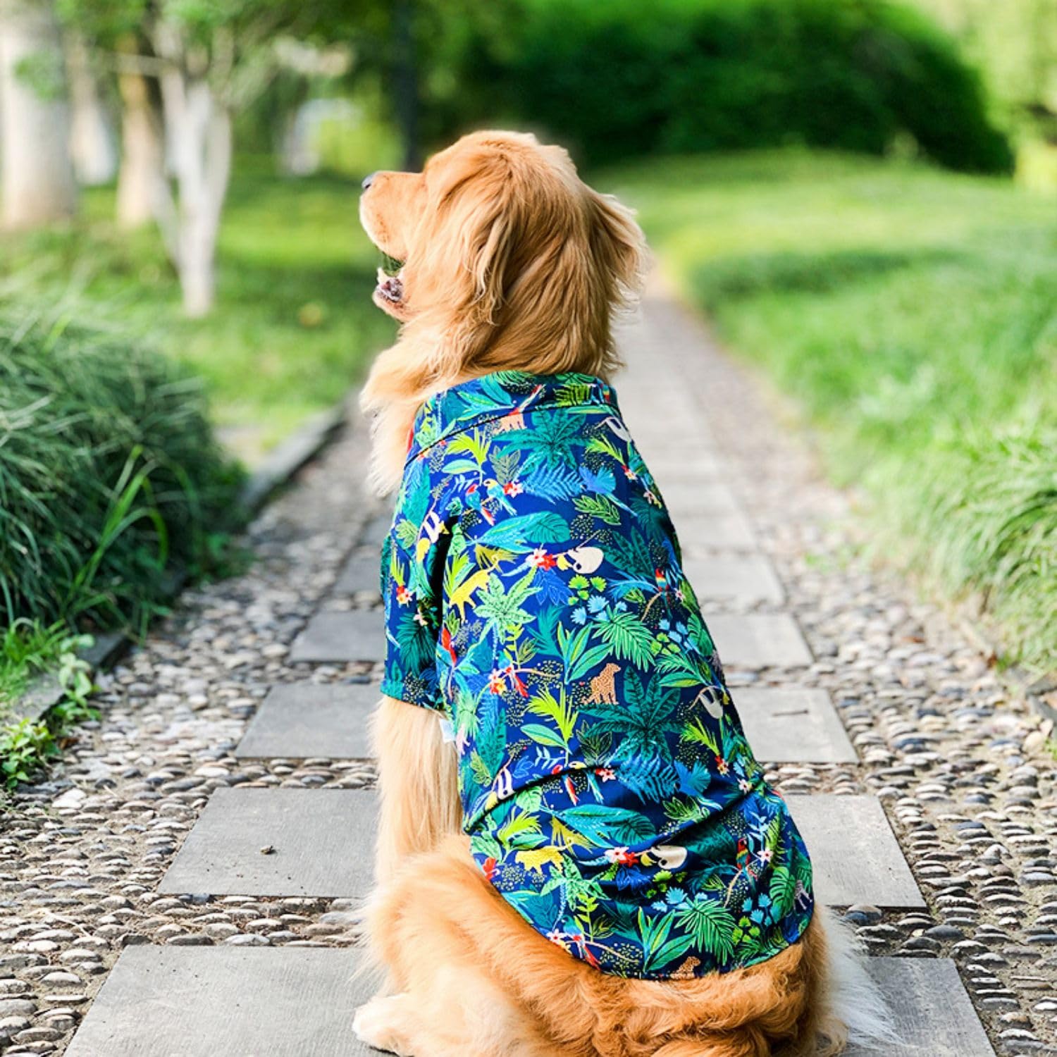 Harikaji Dog Hawaiian Shirt, Summer Pet Clothes Large Dog Cool Costume Beach T-Shirt For Medium Large Dog(Blue,5Xl)