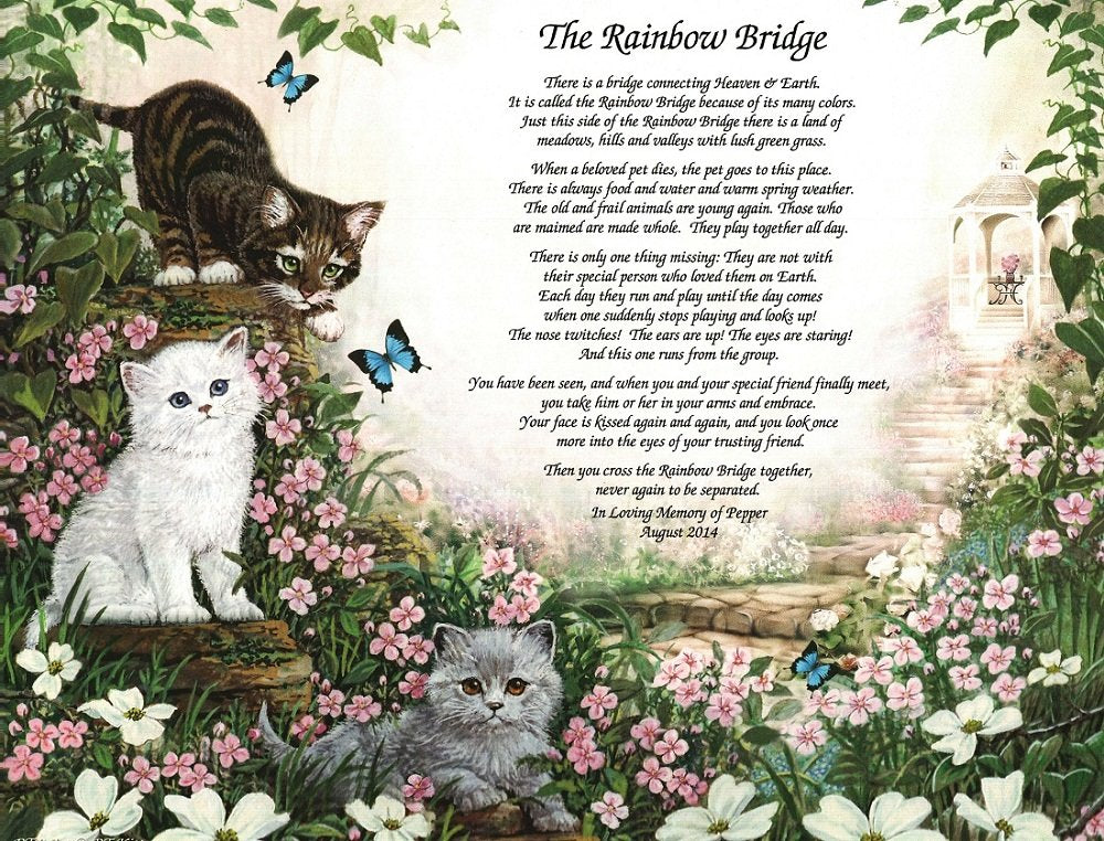 NAMES TO REMEMBER Whats in a Name? Personalized Rainbow Bridge Pet Memorial for Loss of A Beloved Cat Gifts for Cat Owners Love