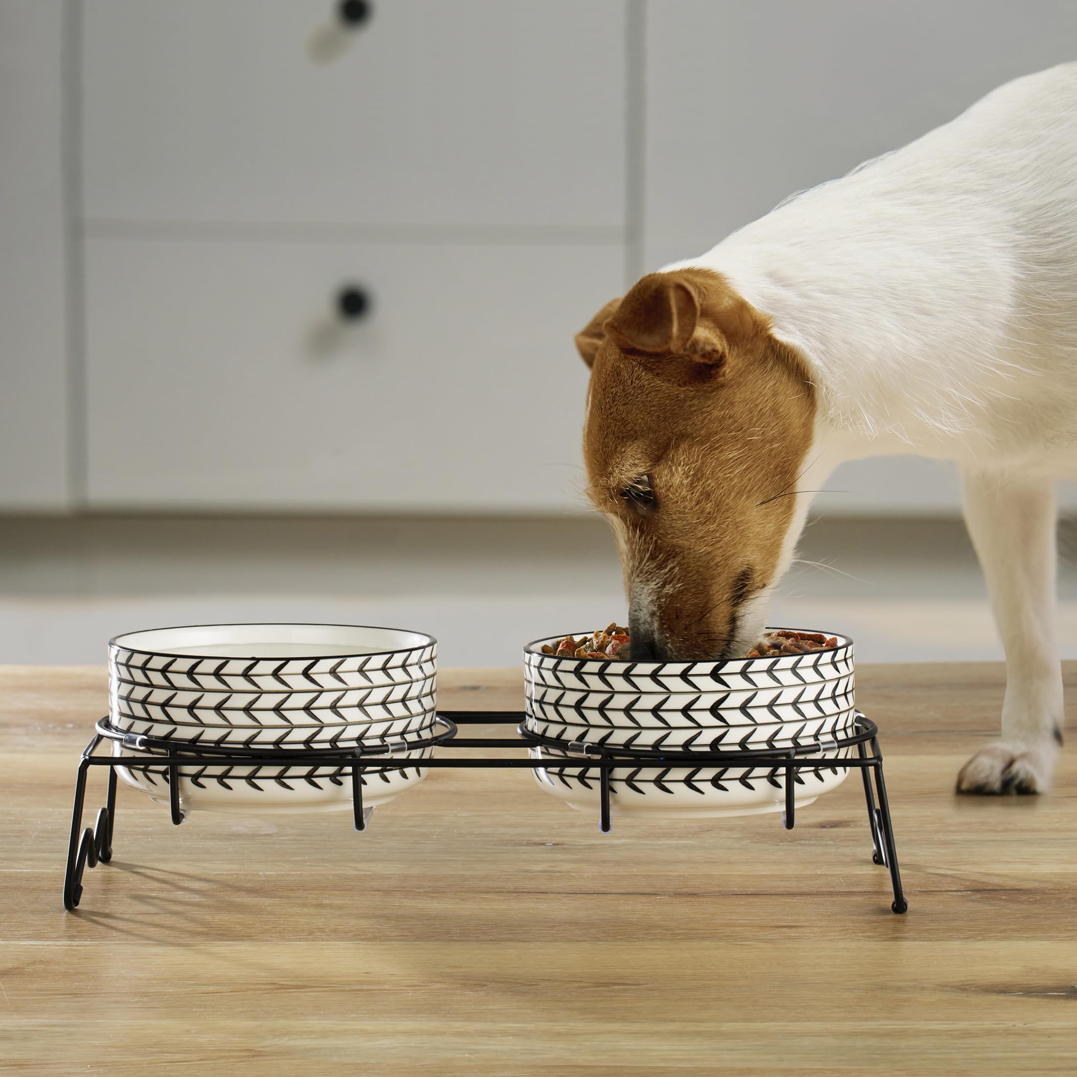 Signature Housewares Ceramic Pet Bowl Set - Food Water Bowls for Dogs and Puppies, Large Cats with Sturdy Metal Stand - Set of 2