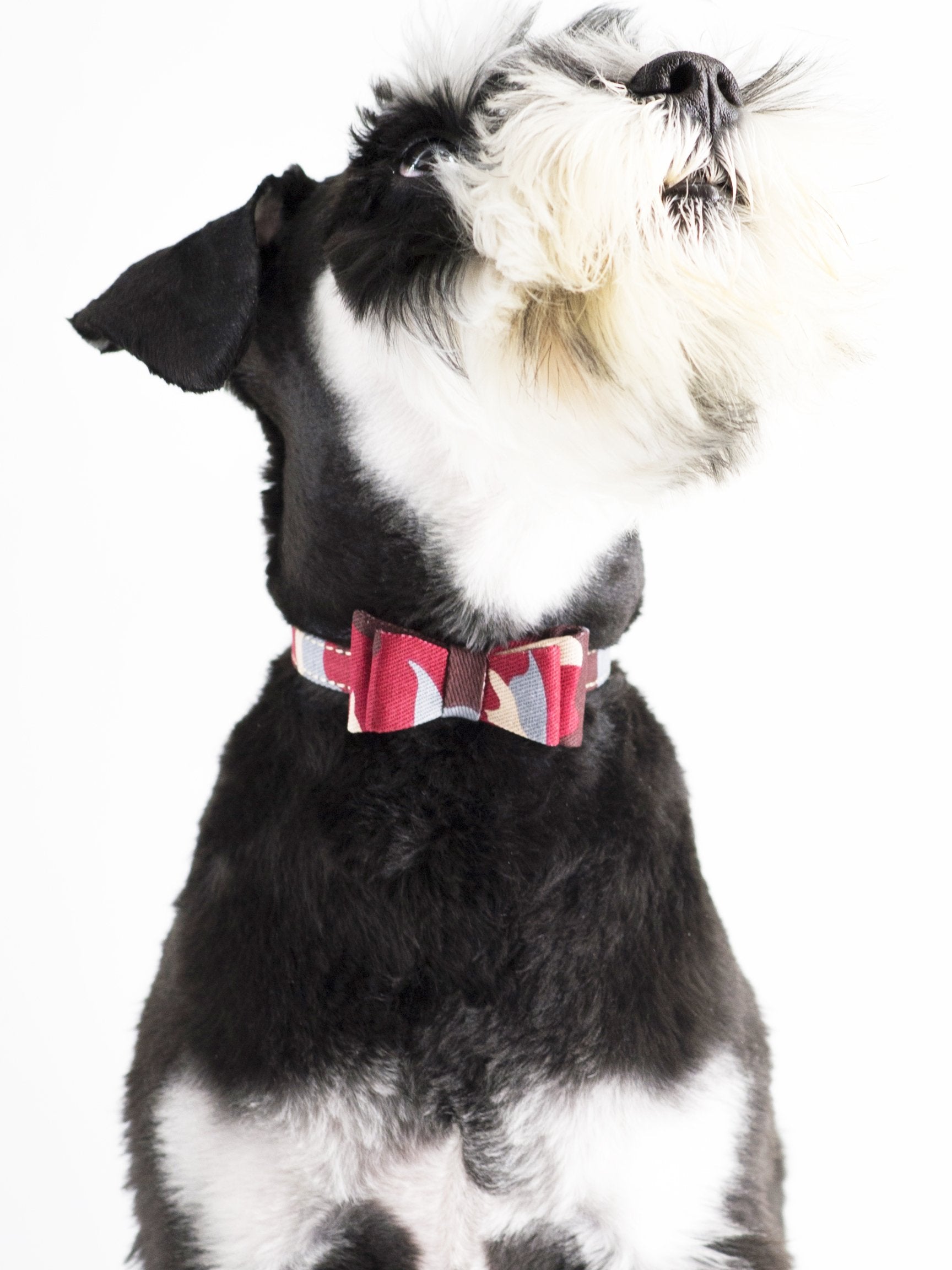 Gyapet Small Dog Collar Puppy Cat Tiny Pet Bow Tie & Bandana 2Pcs Set Pu Leather Canvas Scarf Durable Camo-Green