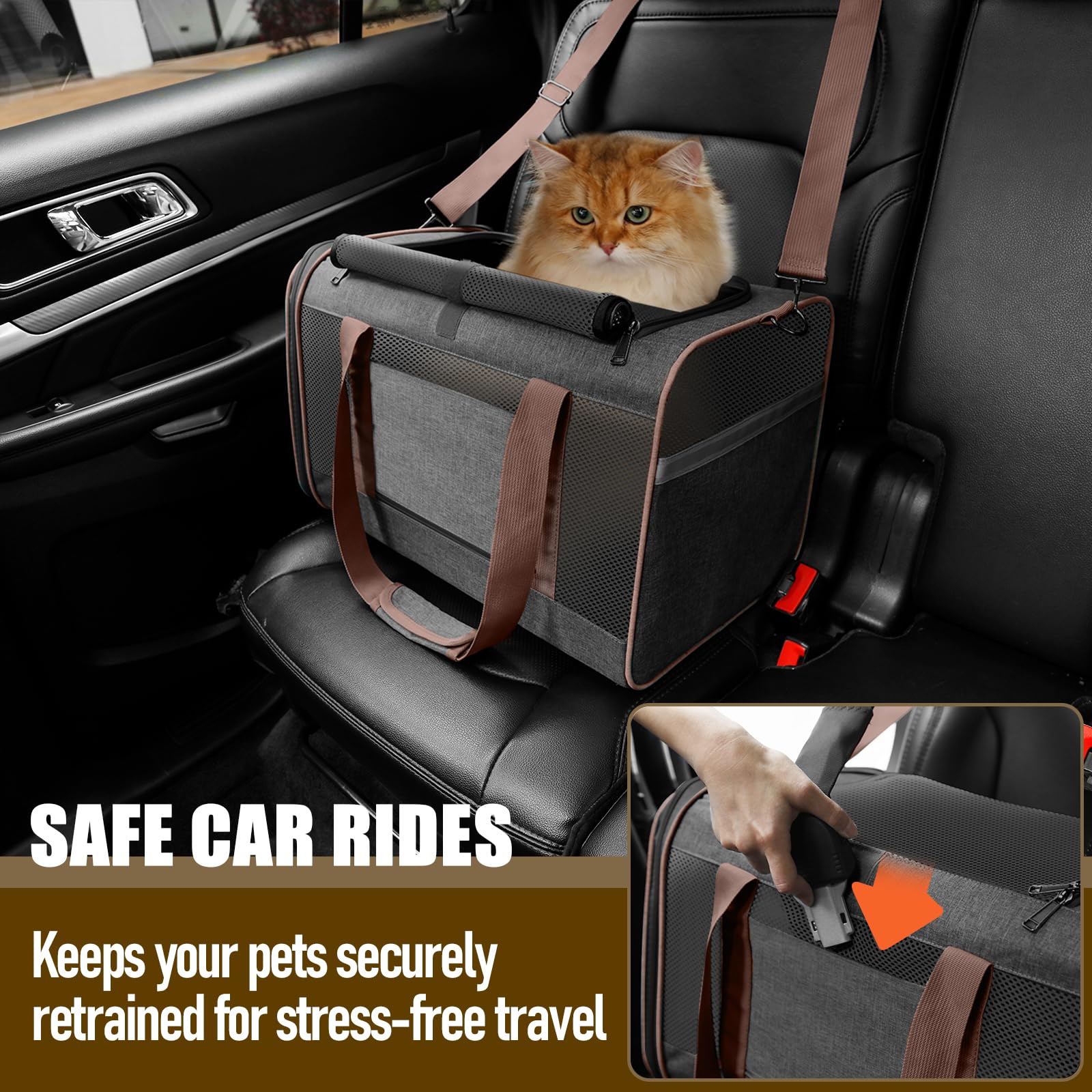 Gapzer Small Dog Carrier Cage Soft Chihuahua/Softshell Big Cat Carrier Maine Coon/Pet Taxi Carrying Bag Over 25Lbs / Top Loader
