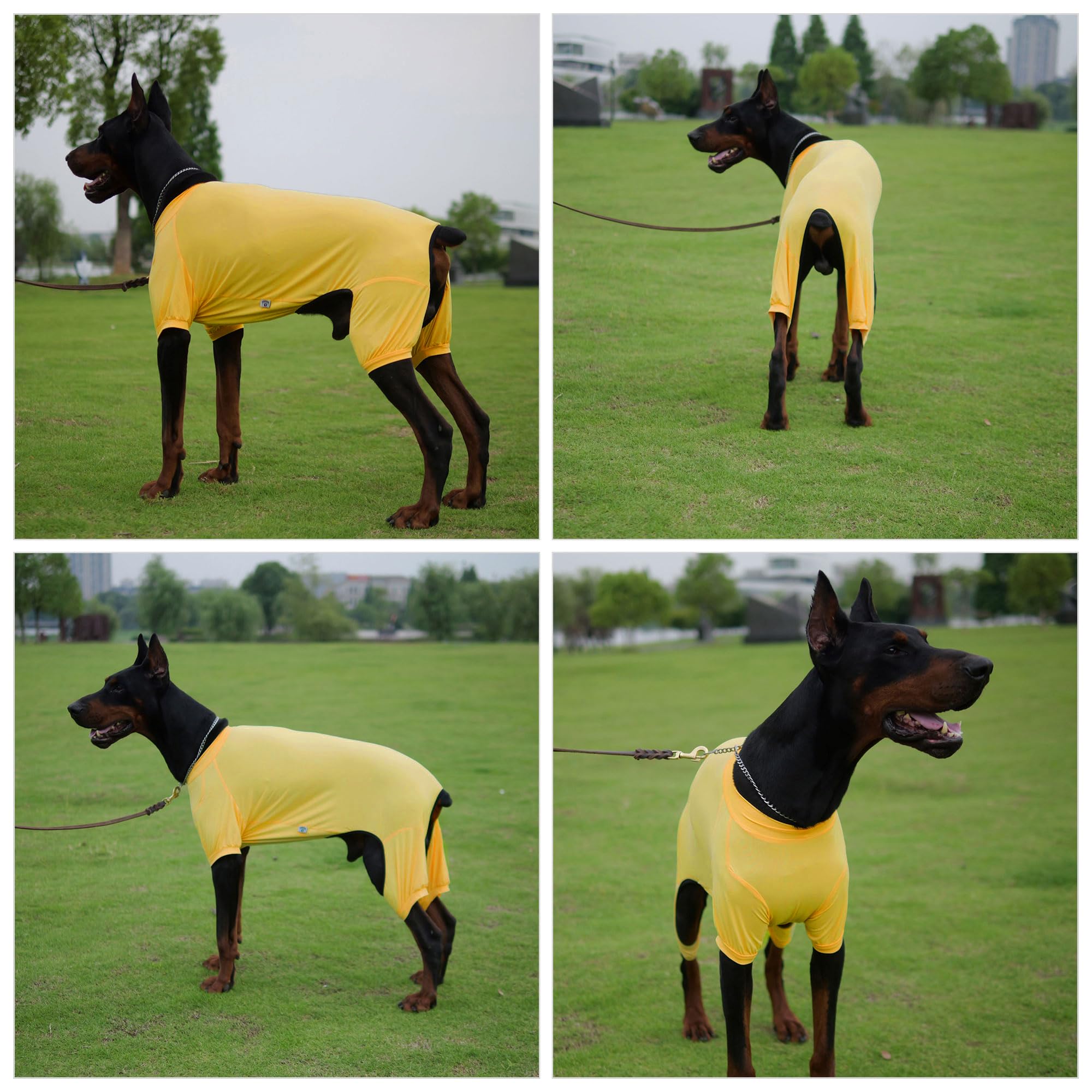 Lovelonglong Dog Jumpsuit With Uv Protection And Quick-Dry Fabric For Spring Summer Pet Pajamas Yellow 2Xl