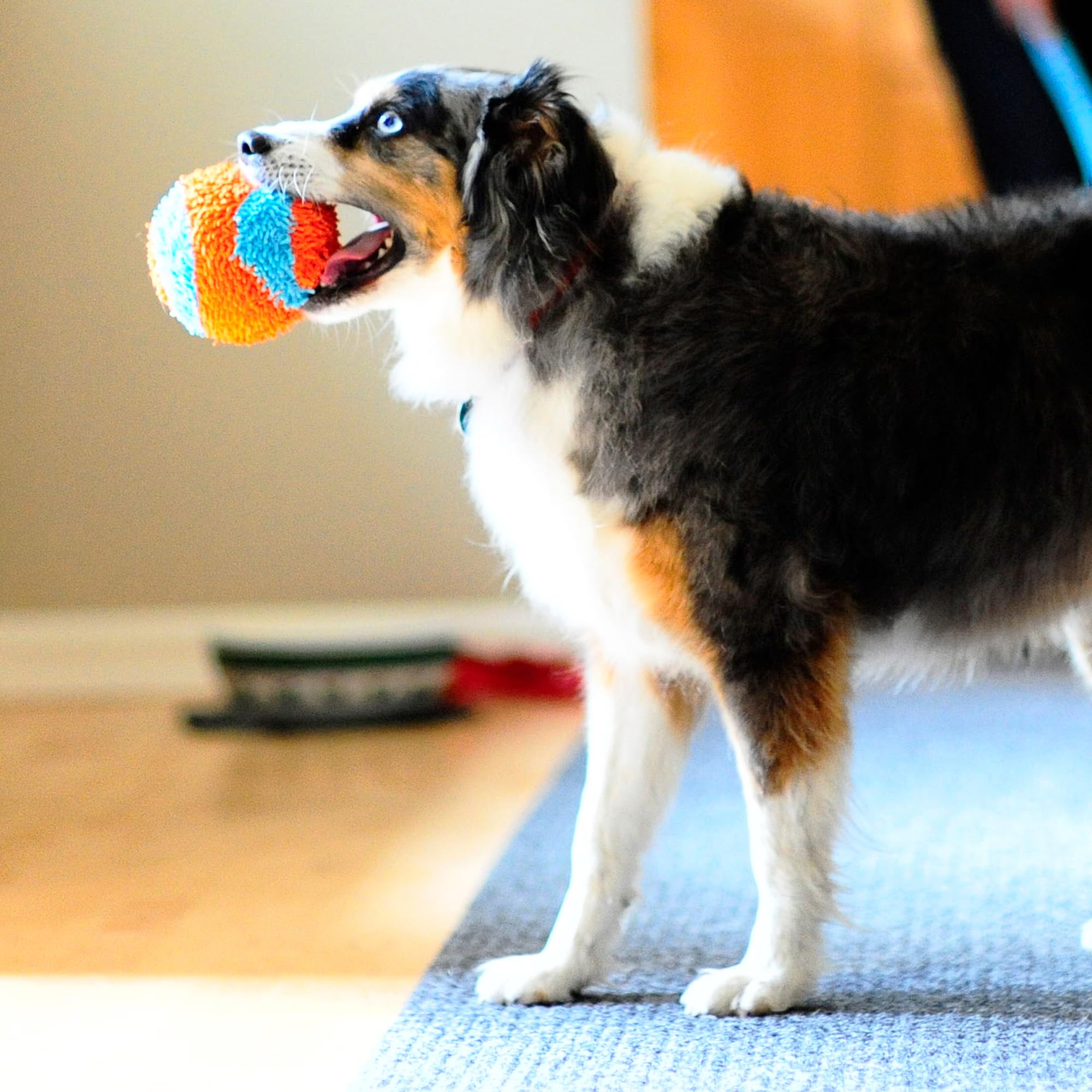 Chuckit! Indoor Fetch Ball Dog Toy For Dogs - Interactive Dog Toys For Boredom, 4.75 Inch, Orange And Blue