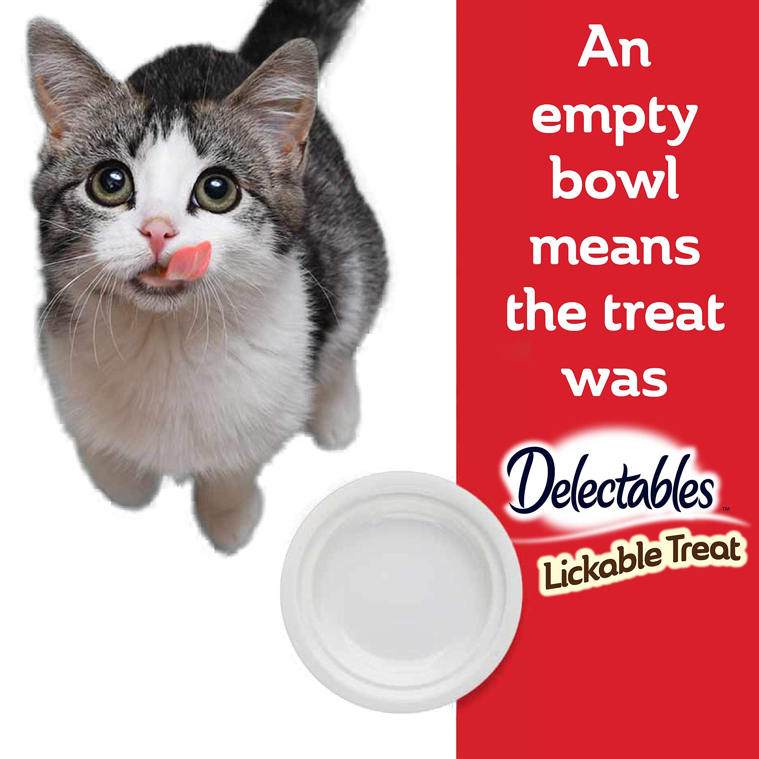 Hartz Delectables Bisque Non-Seafood Chicken & Beef Lickable Wet Cat Treats, 12 Count , 1.40 Ounce (Pack of 12)