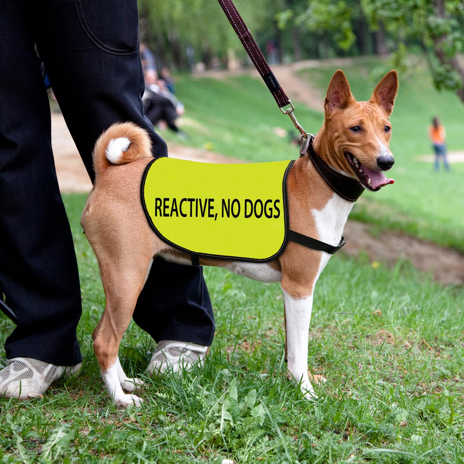Reactive Dog Jacket Vest Reactive No Dogs Dog Slogan Vest Social Distancing Gift (Reactive No Dogs-Large)