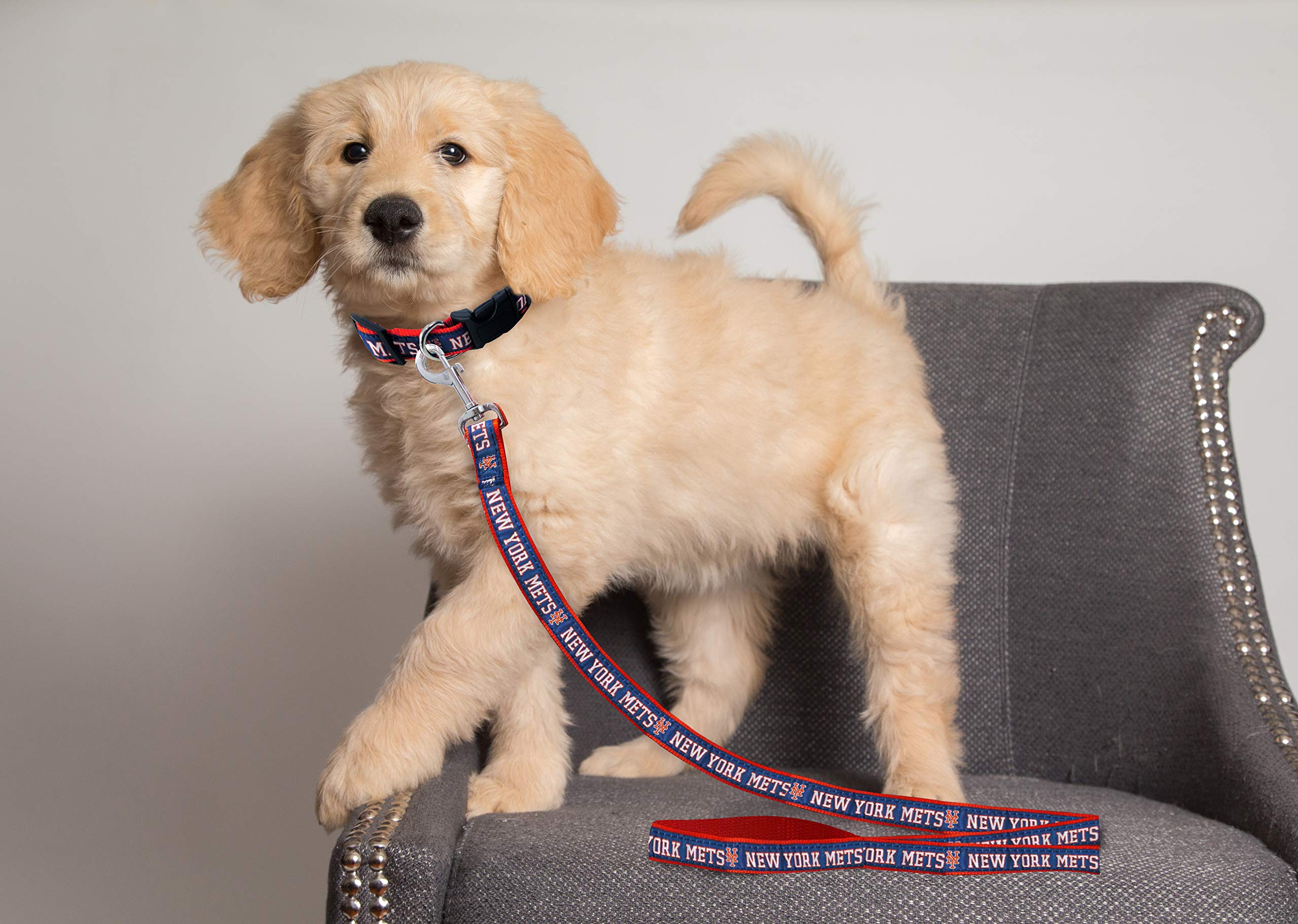 Mlb Pet Leash, Large, New York Mets Dog Leash, Baseball Team Leash For Dogs & Cats. A Shiny & Colorful Dog & Cat Leash With Emboridered Team Name/Logo Licensed By The Mlb