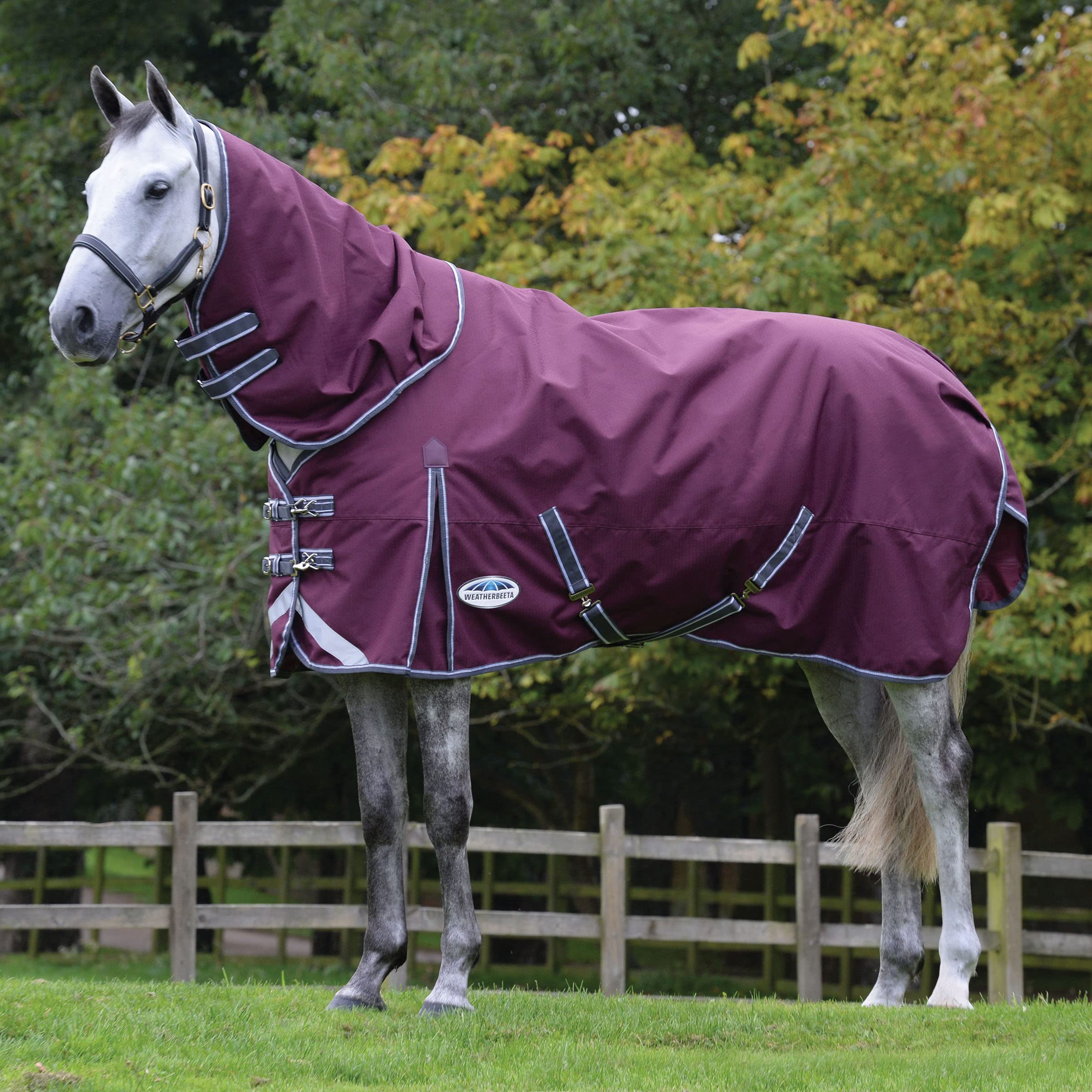 Weatherbeeta Comfitec Plus Dynamic Ii Detach-A-Neck Medium, Maroon/Grey/White, 57''