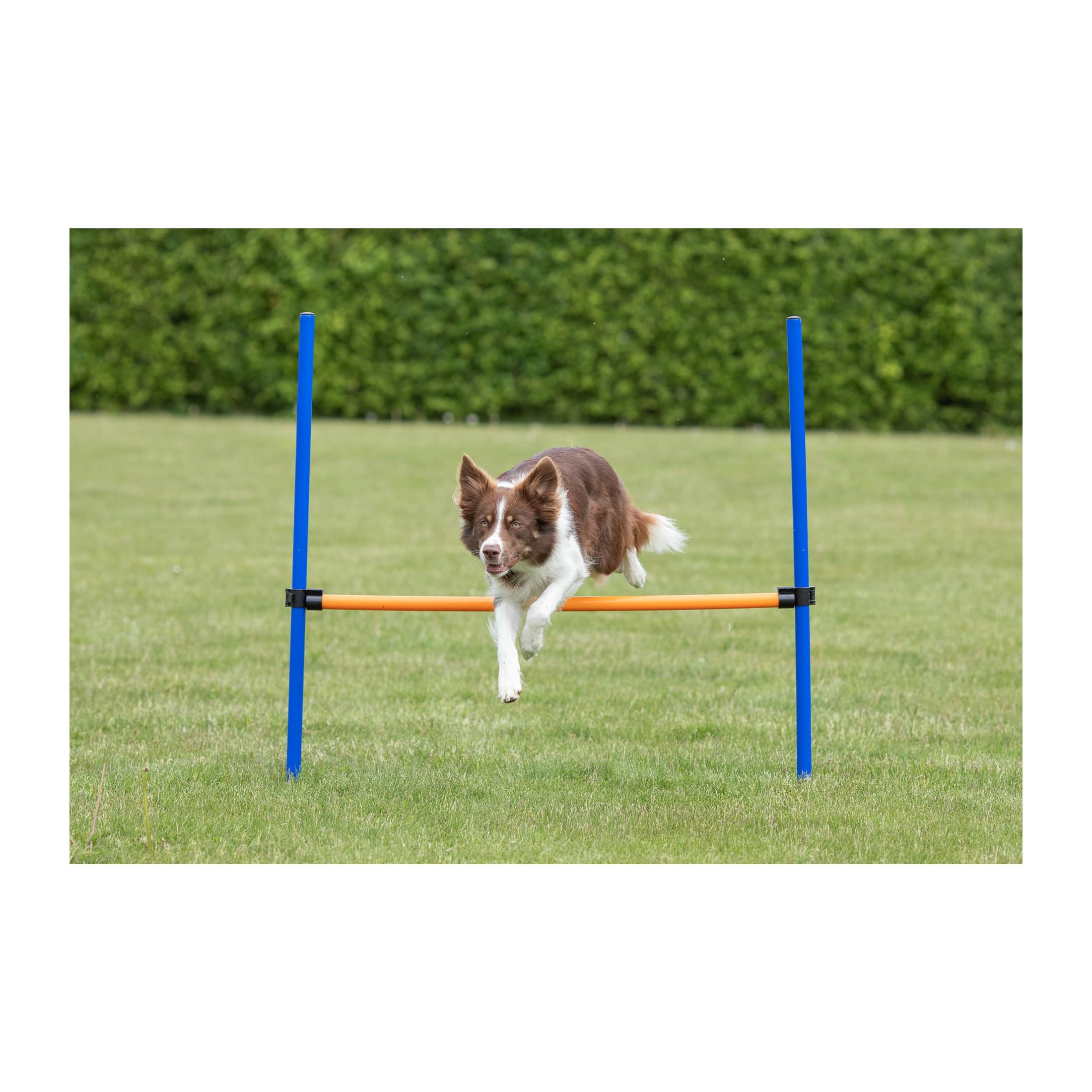 TRIXIE Agility Hurdle Adjustable Dog Jump, Ideal for Beginners & Advanced, Dog Obstacle Course Equipment 1 x Hurdle