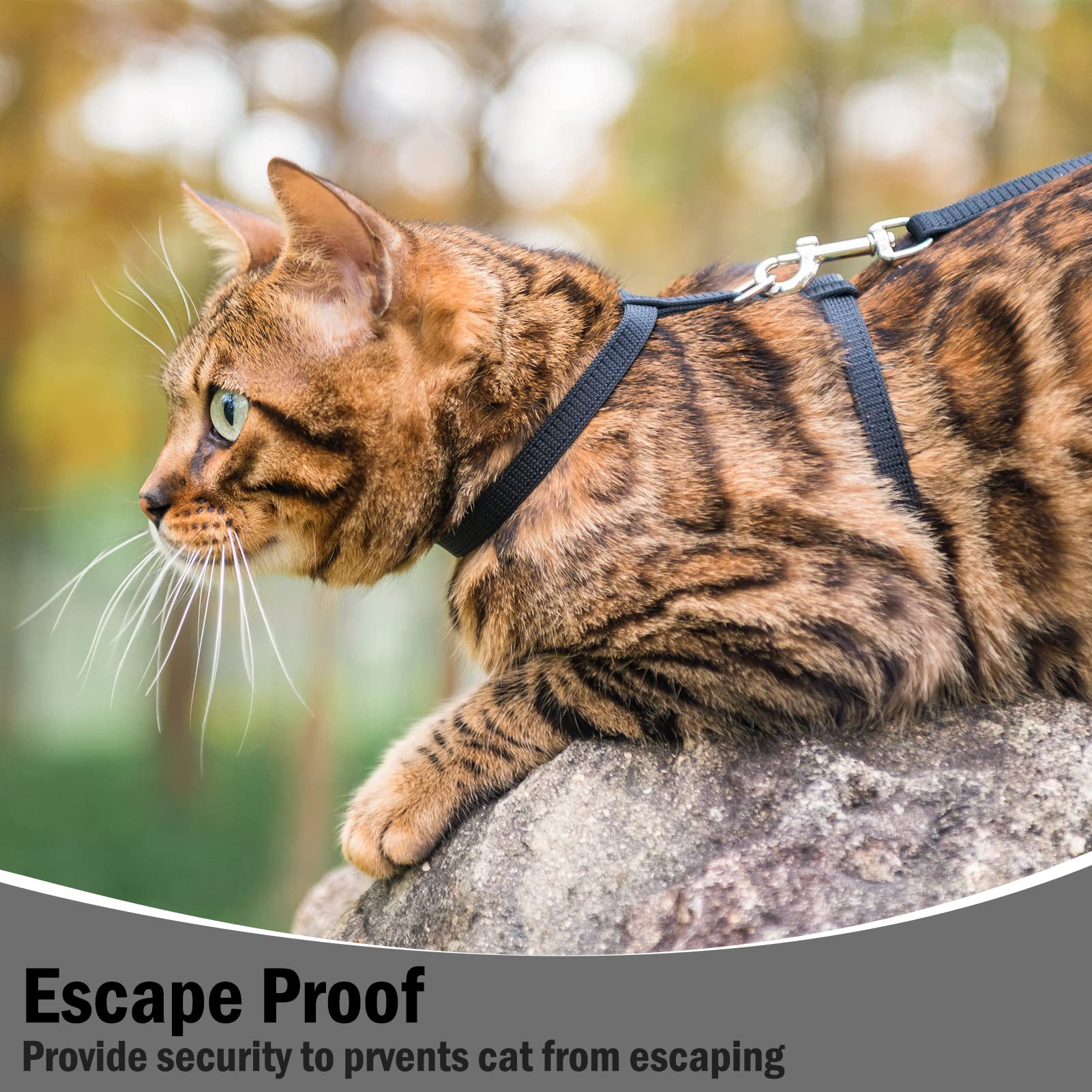 Pupteck Adjustable Cat Harness And Leash Set Escape Proof Kitten Strap Collar For Walking Travel, Black