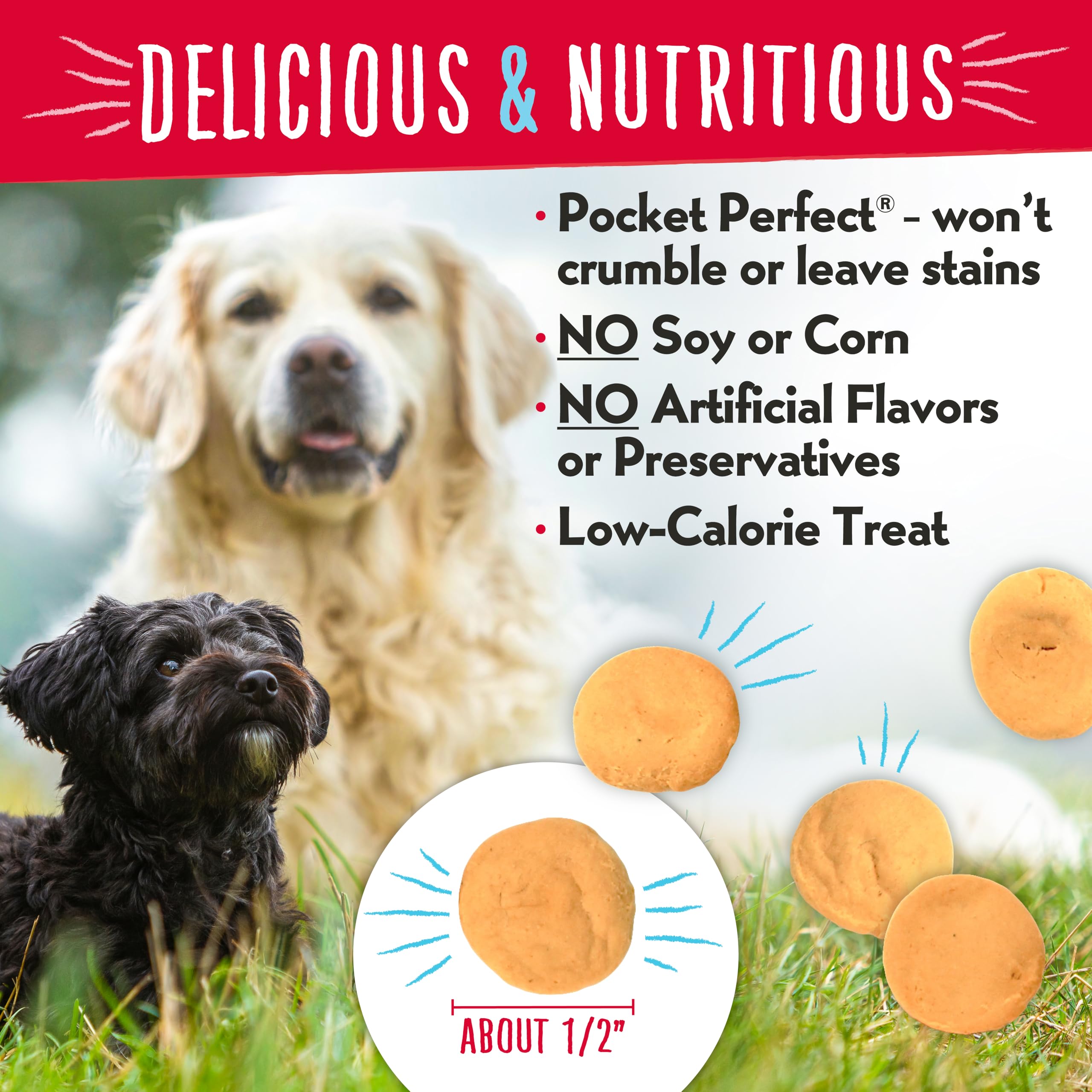 Charlee Bear Dog Treat, 16-Ounce, Cheese/Egg