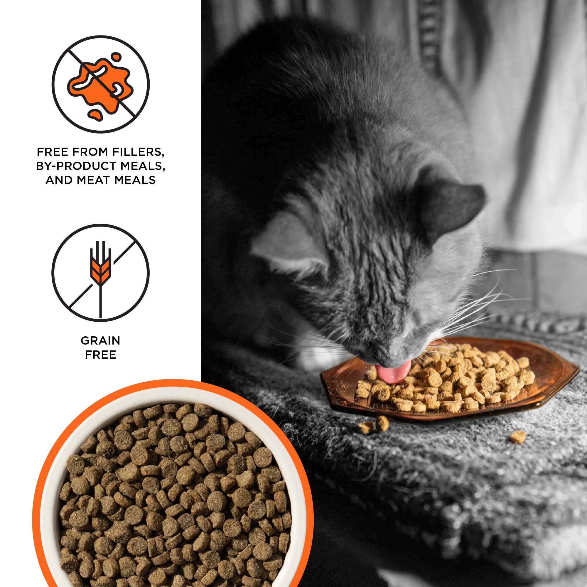 Liberty Dry Food Chicken Recipe for Cats, 10lb