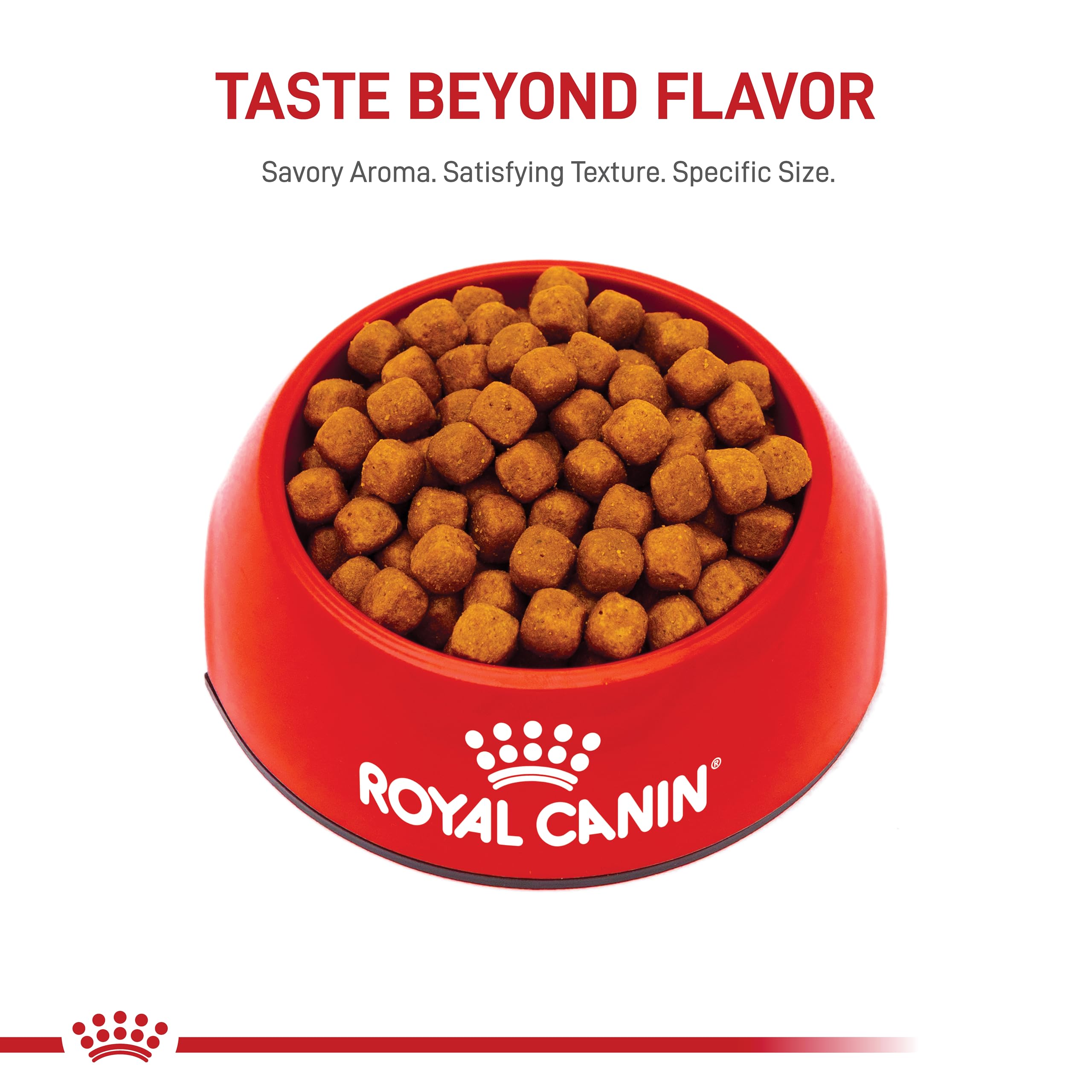 Royal Canin Maine Coon Adult Dry Cat Food, 6 lb Bag, No Artificial Color, Model 543906