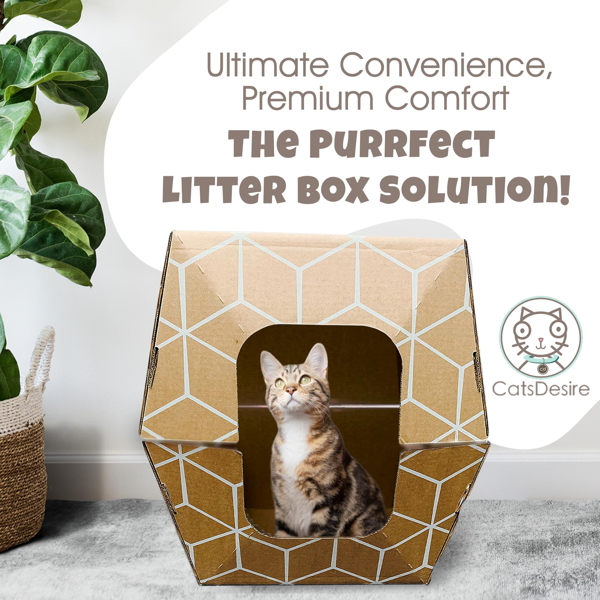 Cats Desire Litter Box - Disposable Litter Boxes For Cats Pack (5 Pcs) W/Top/Low Entry Set (17'' L X 17'' W X 15.25'' H) & Enclo