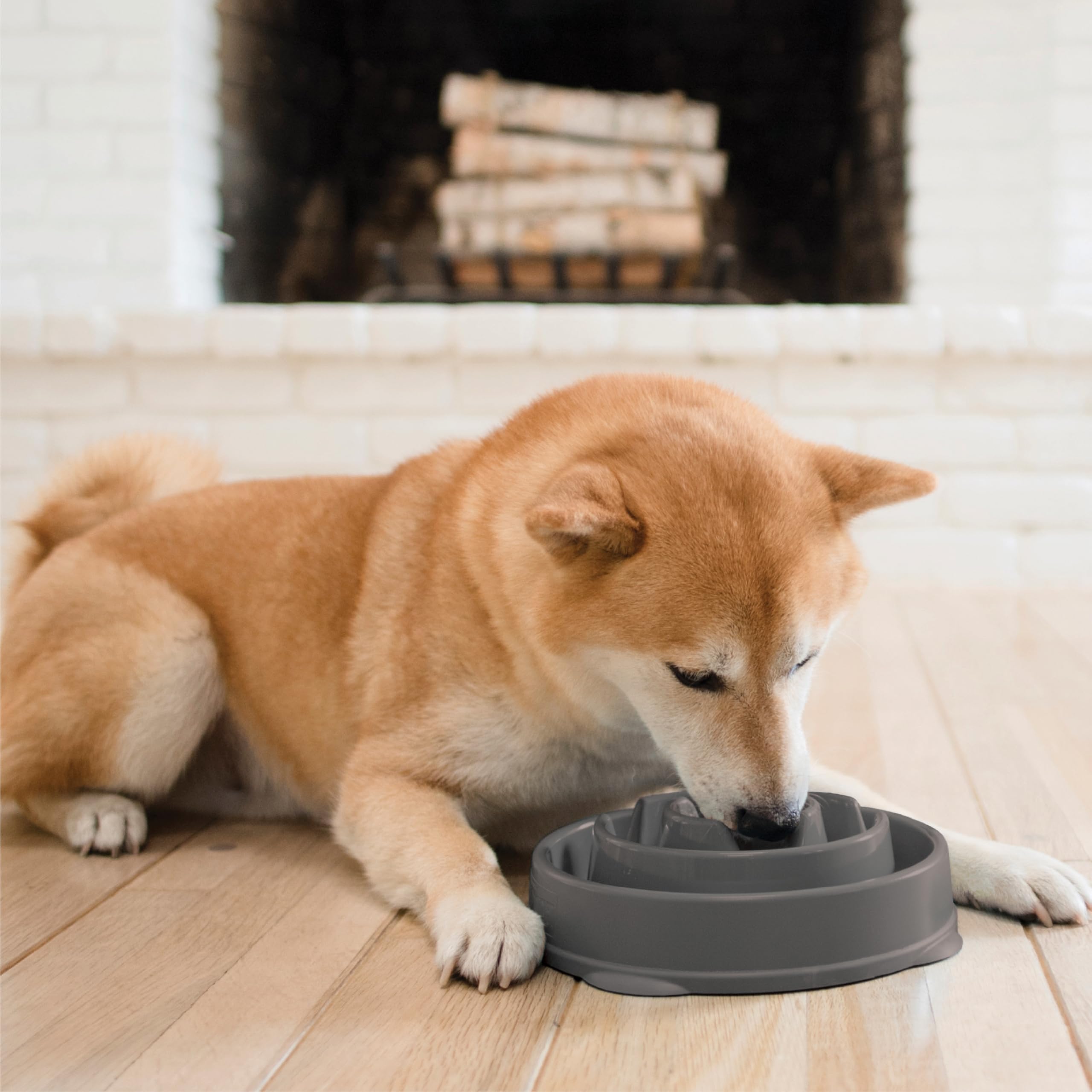 Outward Hound Medium Slow Feeder Bowl, Puzzle Maze for Fast Eaters, Small to Medium Dogs, Helps Prevent Bloat & Aid Digestion, H