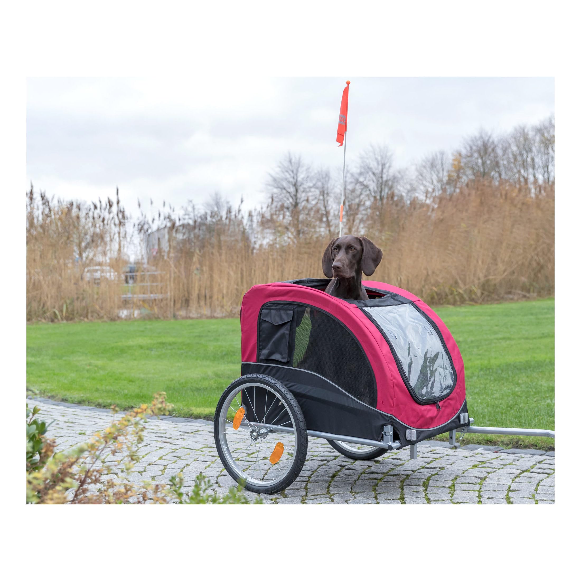 TRIXIE Dog Bike Trailer & Stroller for Medium Dogs up to 66 lbs, Quick Set-up, Red, Model 12816, Aluminum Construction