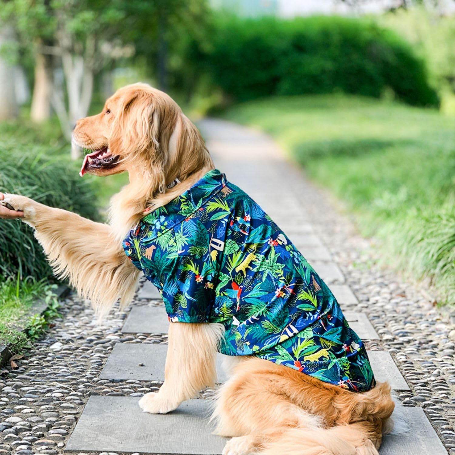 Harikaji Dog Hawaiian Shirt, Summer Pet Clothes Large Dog Cool Costume Beach T-Shirt For Medium Large Dog(Blue,5Xl)