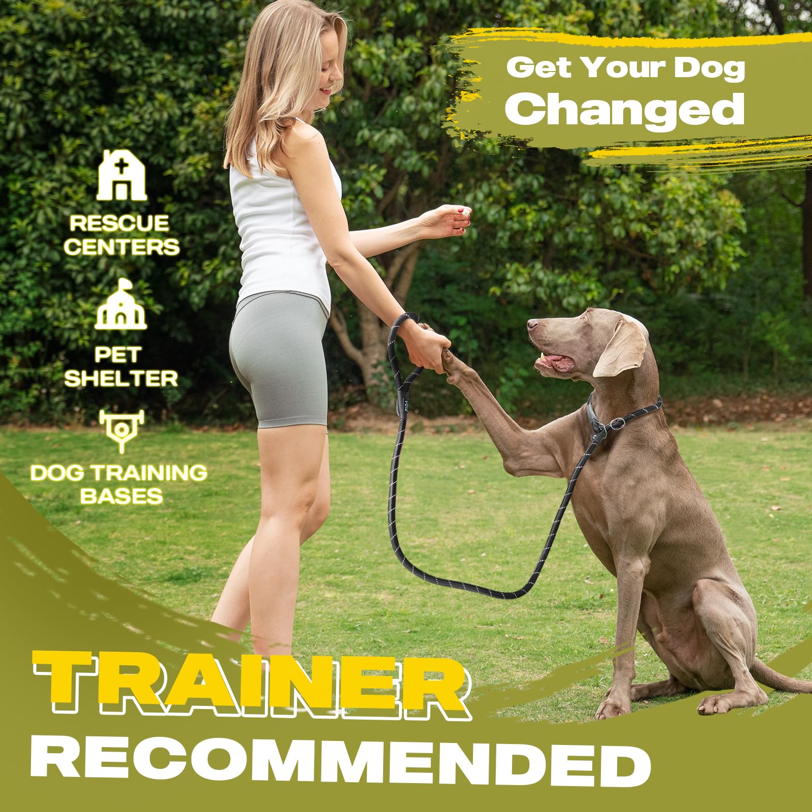 Fida Durable Slip Lead Dog Leash Bulk Pack Of 5, Heavy Duty 1/2' X 6 Ft Comfortable Strong Rope Slip Leash For Large, Medium & Small Dogs No Pulling Pet Training Leash With Highly Reflective (Black)