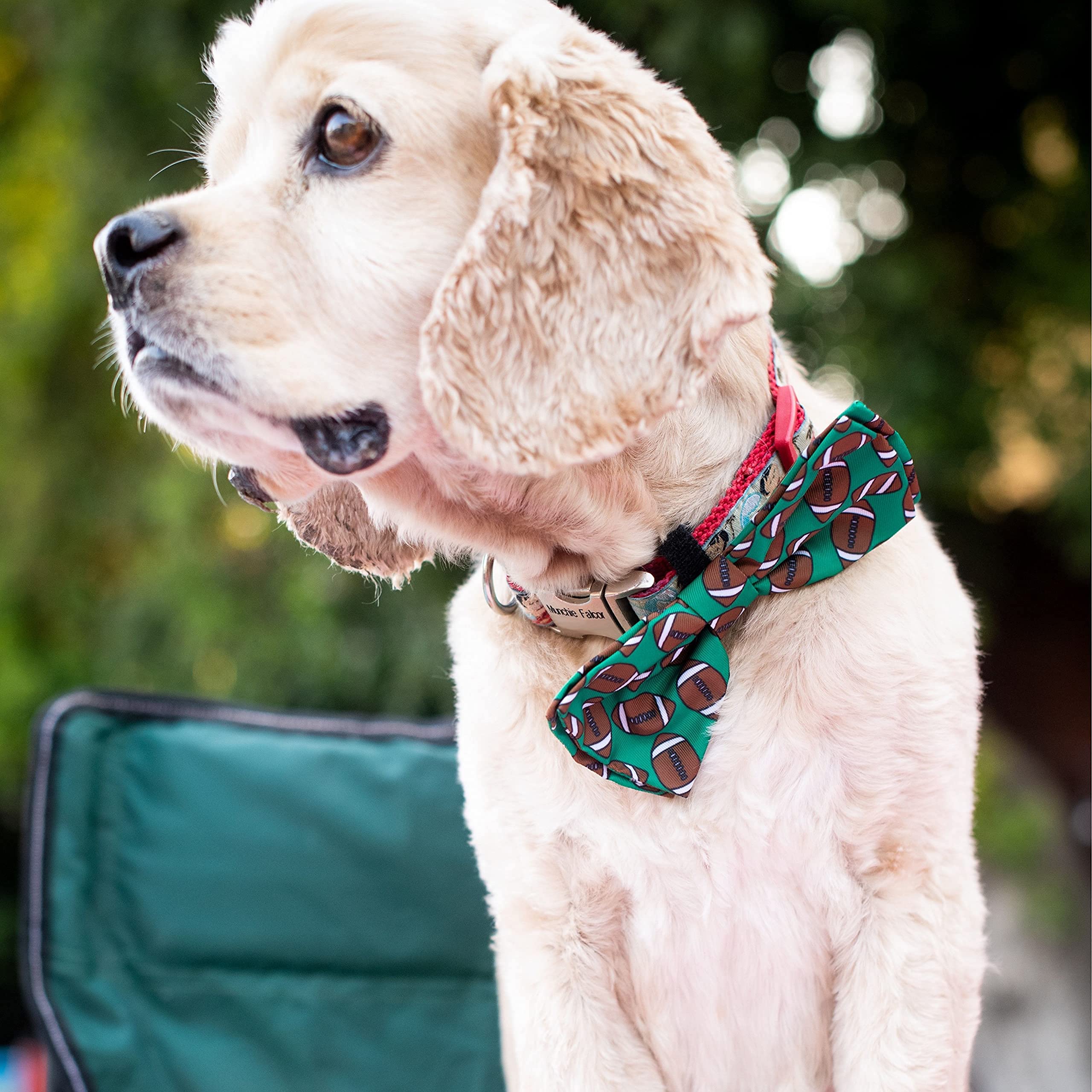 Huxley & Kent Bow Tie Collar Attachment For Pets | Fun, Comfortable & Durable Bow Tie For Dogs & Cats | Small Football Pattern