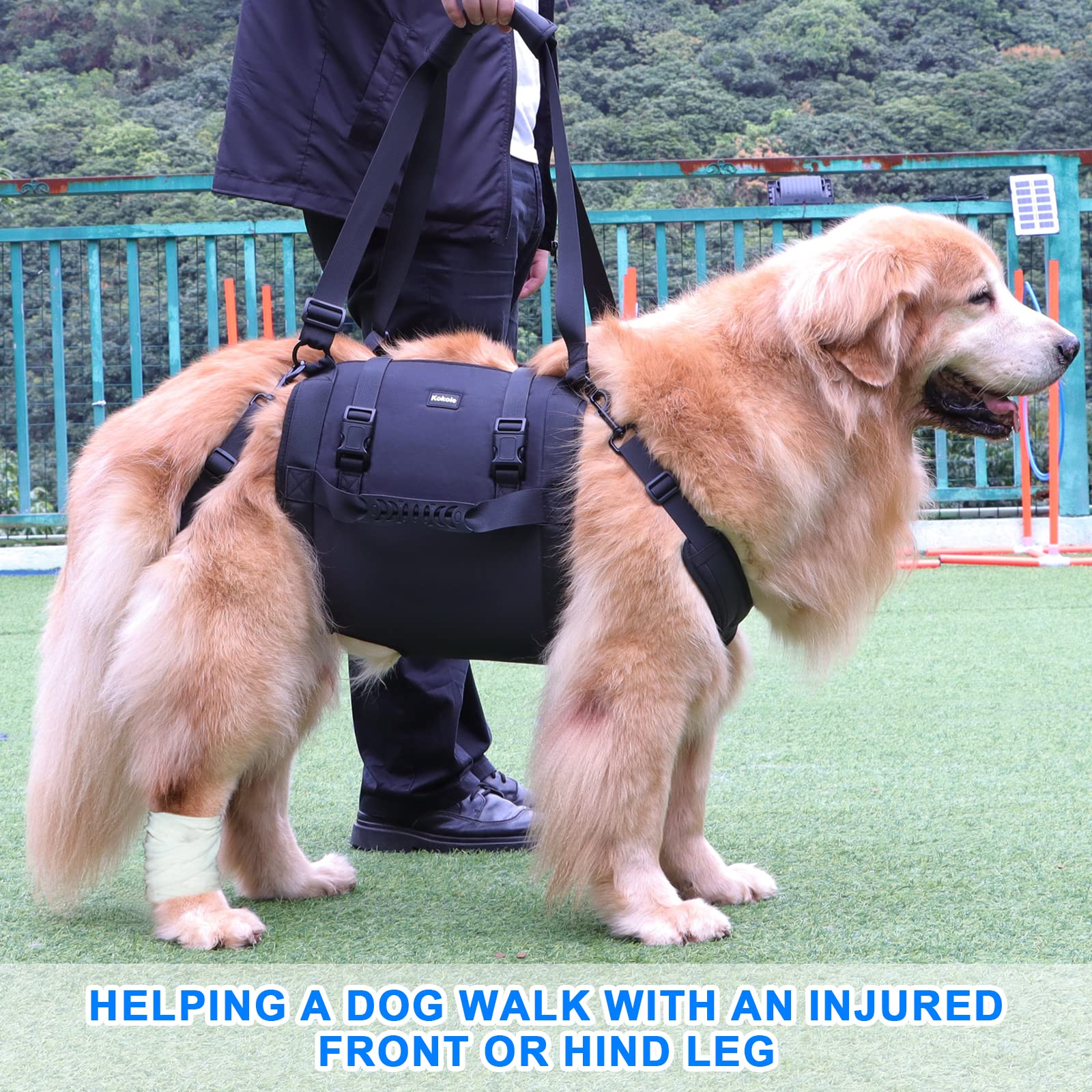 Dog Carry Sling, Emergency Backpack Pet Legs Support & Rehabilitation Dog Lift Harness for Large Dogs, Dog Carrier for Senior Do