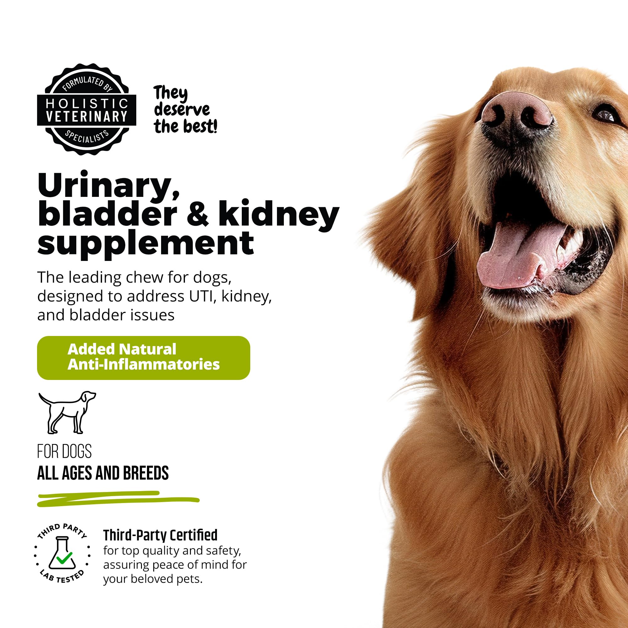 UroMAXX Dog Urinary Tract Infection Treatment, Bladder & Kidney Support for Dogs, Powerful Pet Care, Natural Soft Chews with Cra