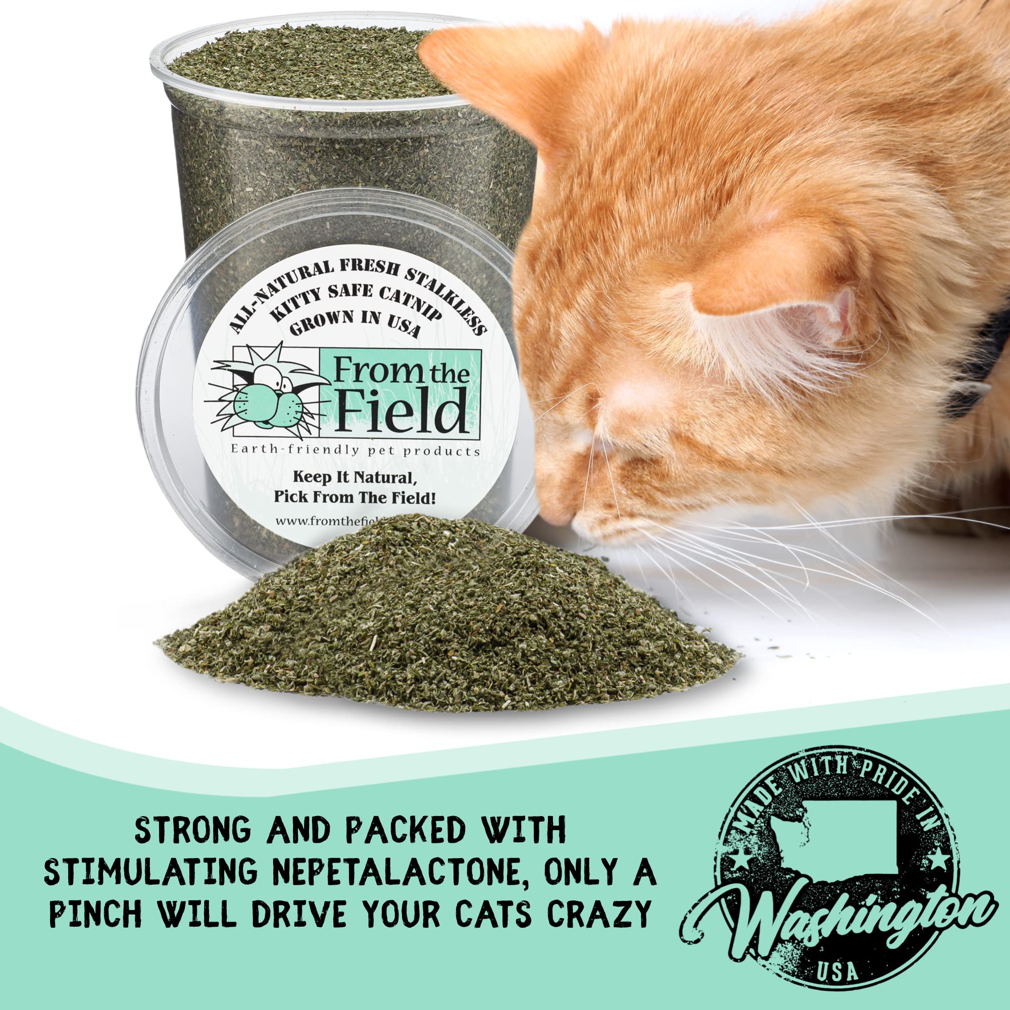 From The Field 1.5-Ounce Catnip Kitty Safe Stalkless Bag
