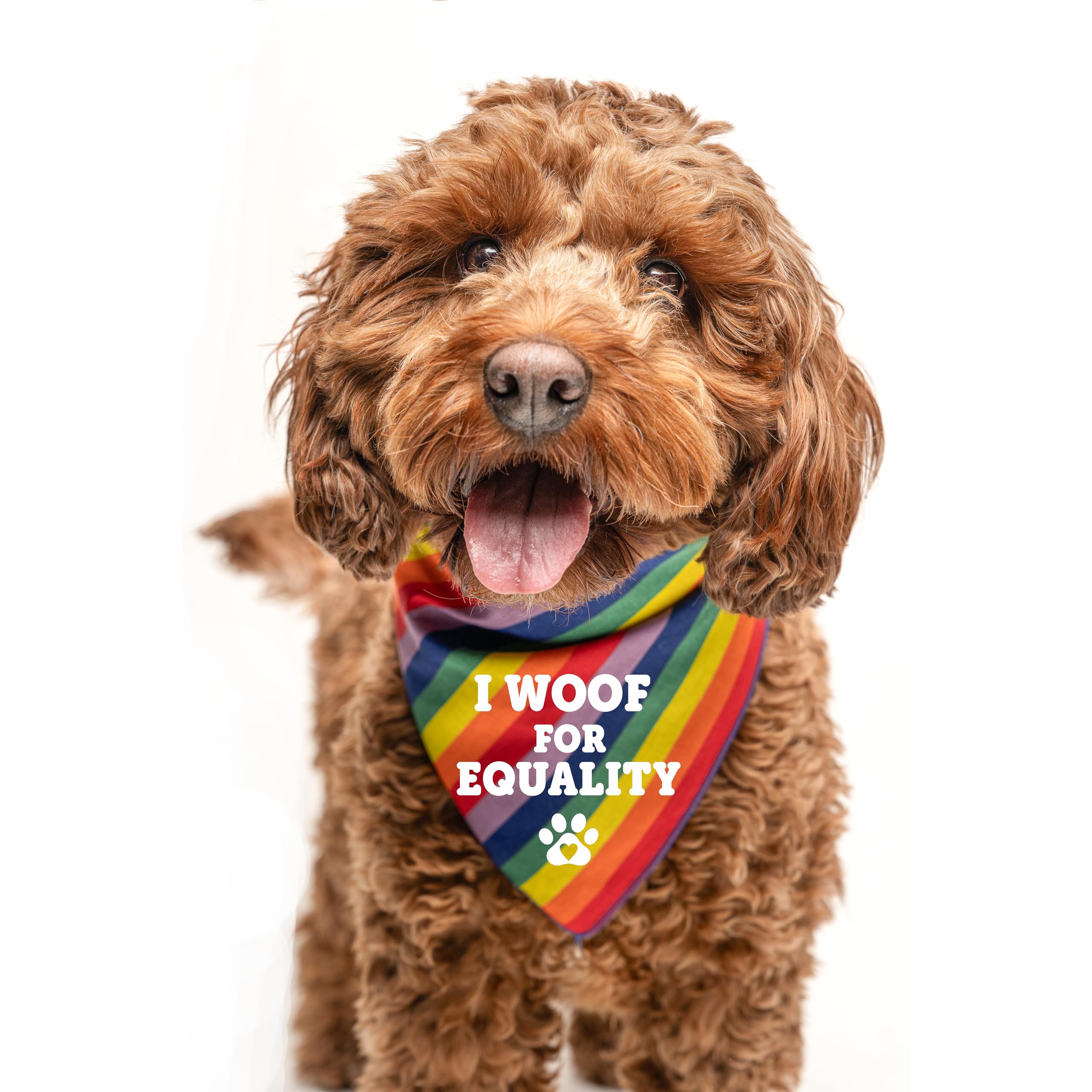 I Woof For Equality Dog Bandana | 100% Cotton Adjustable Triangle | Made In Usa | Pride Day | Lgbtq+ | Rainbow | Parade |Camo, O