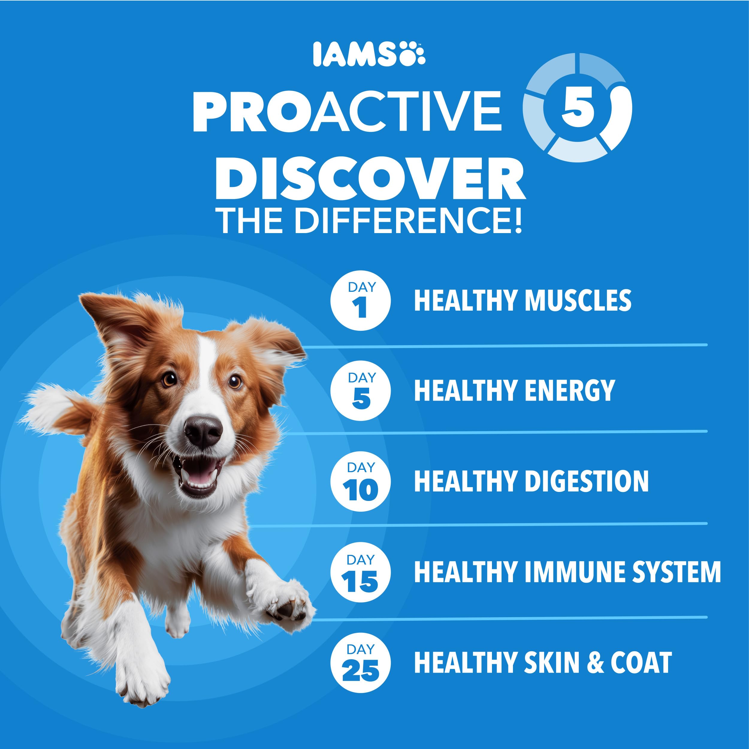 IAMS Adult Healthy Weight Control Dry Dog Food with Real Chicken, 15 lb. Bag