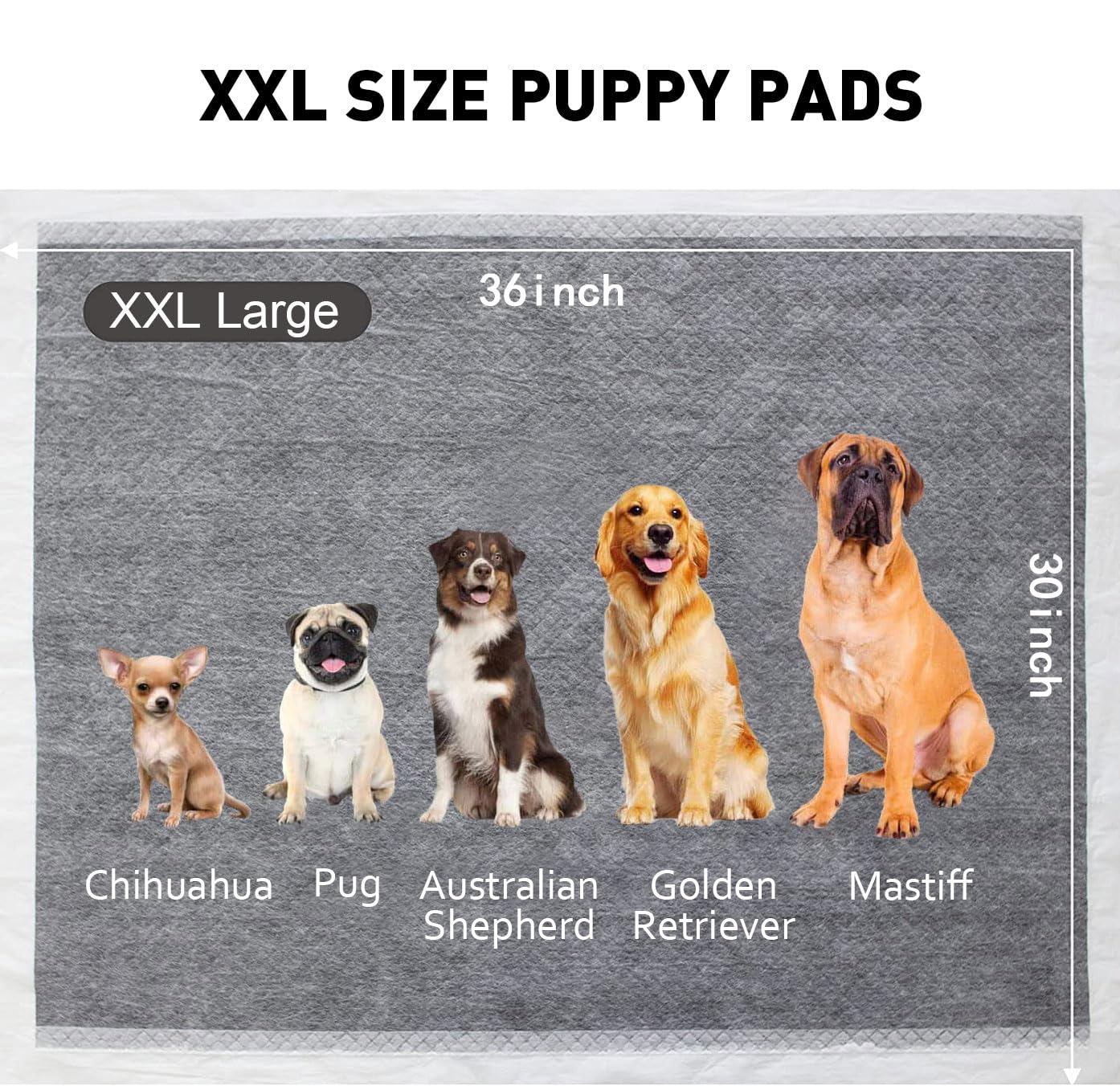 BinetGo Disposable Pee Pads for Dogs, 35 Count 30 x 36 XX-Large Wee Wee Pads for Dogs, Extra Absorbent Puppy Pads, Pet Training