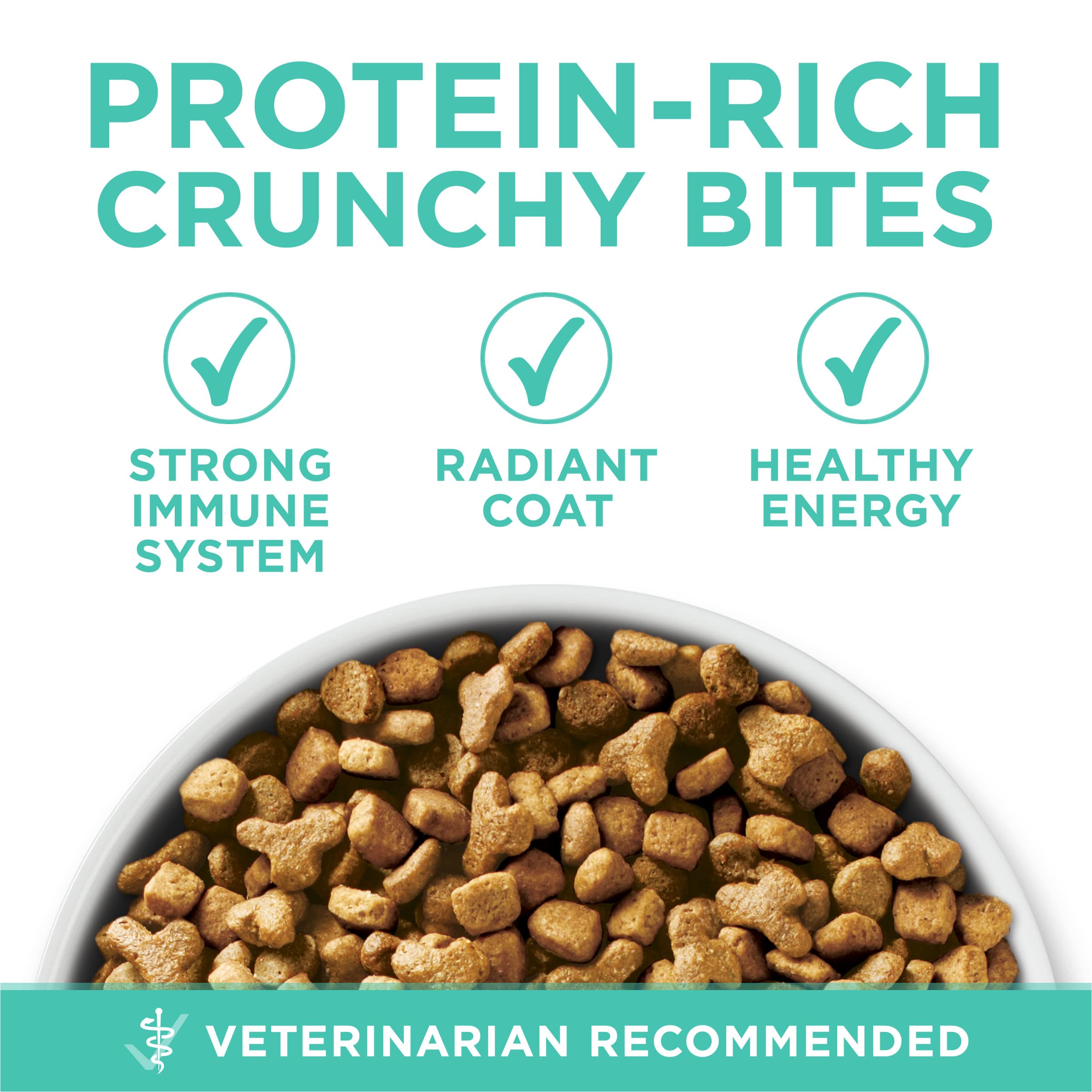 Purina ONE Sensitive Stomach, Sensitive Skin, Natural Dry Cat Food, +Plus Sensitive Skin and Stomach Formula - 3.5 lb. Bag