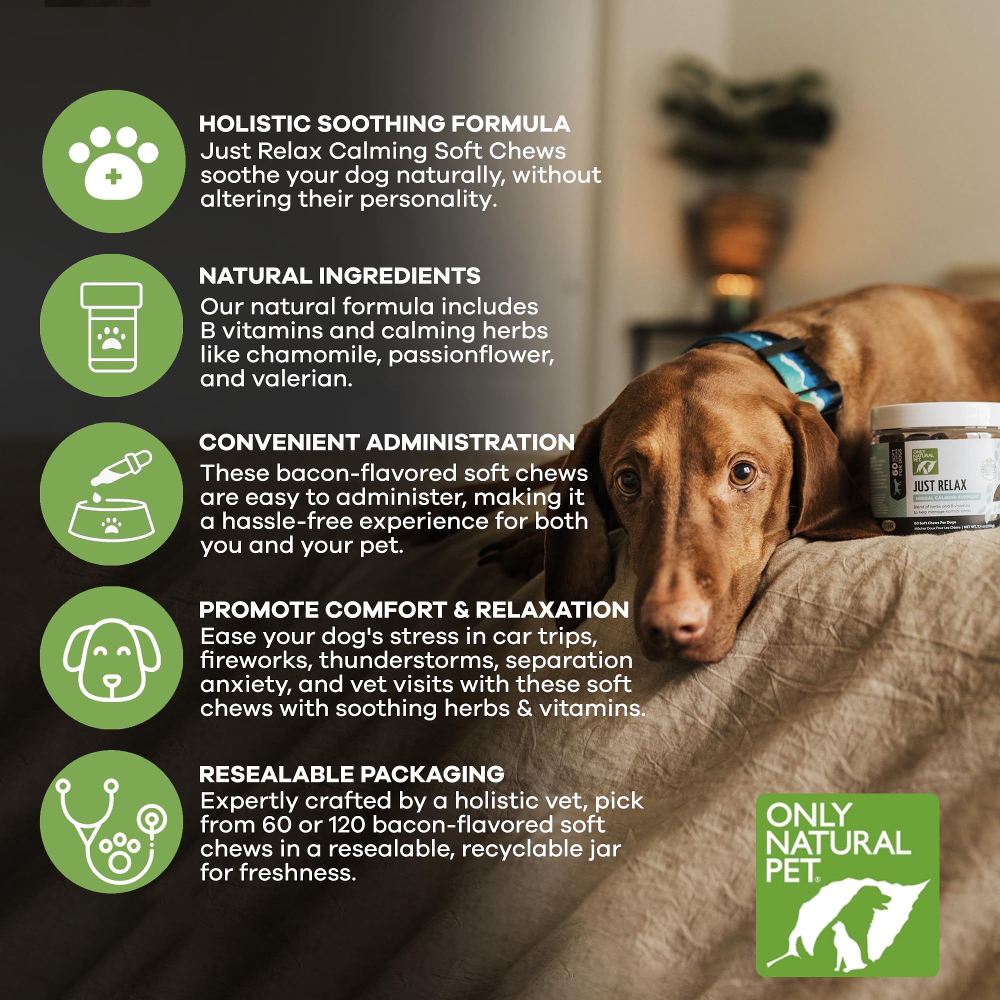 Only Natural Pet - Just Relax Herbal Calming Soft Chews for Dogs | Natural Anxiety Relief Treats, Premium Dog Relaxation Aid, St