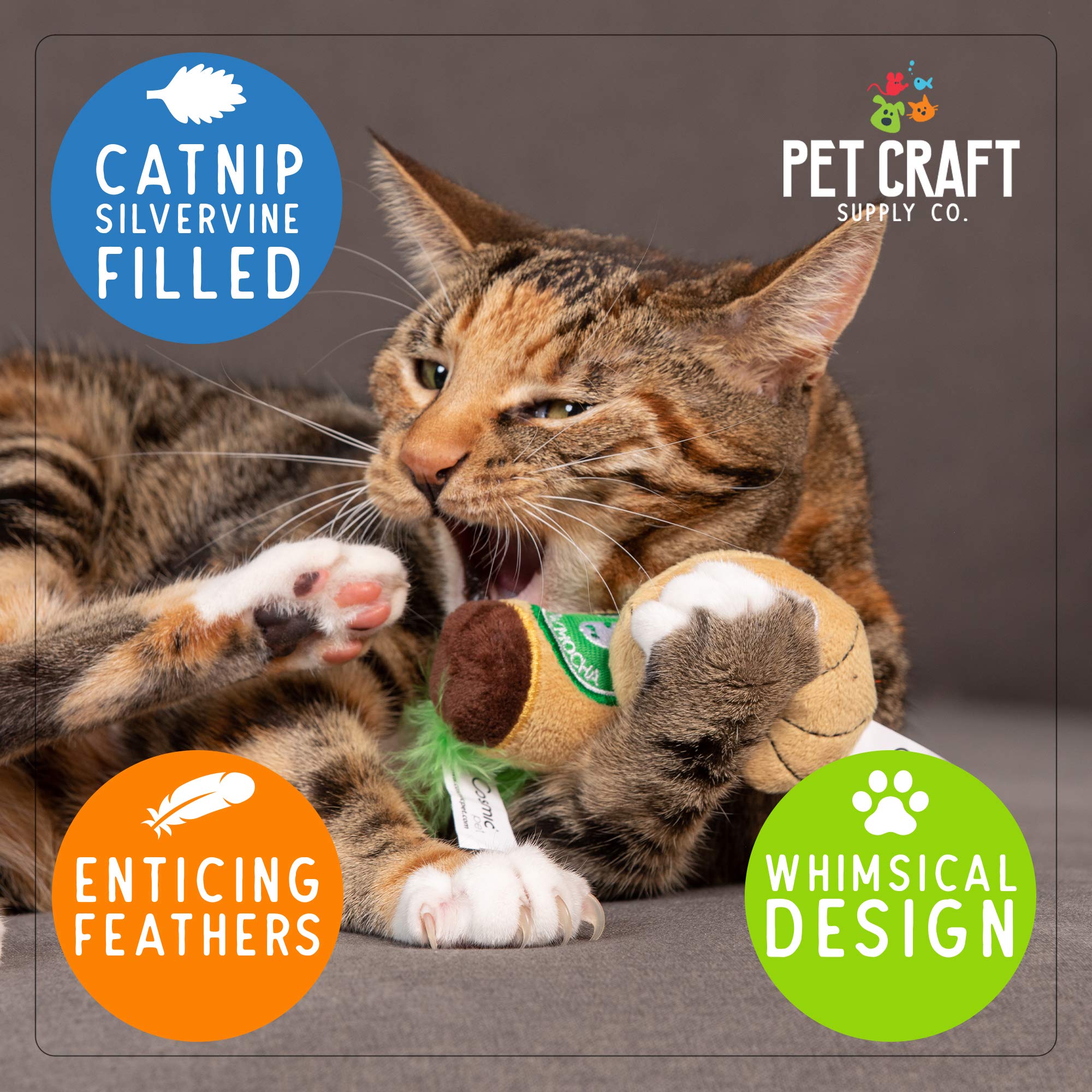 Pet Craft Supply Silly Snacks and Funny Food Crinkle Cuddling Catnip and Silvervine Interactive Cat Toys - Great for Indoor Cats