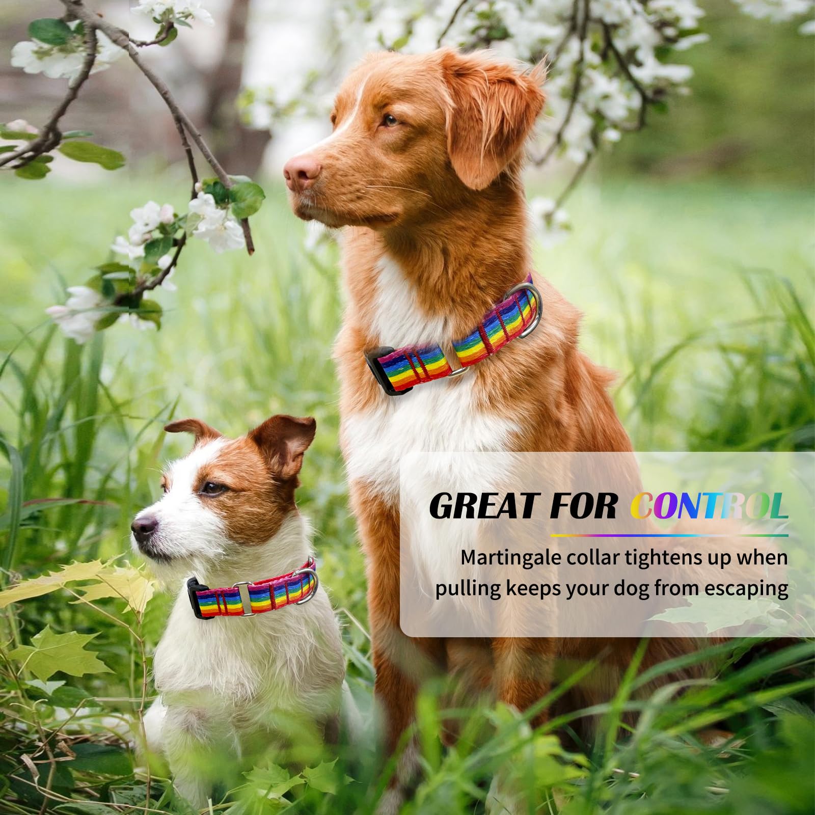 Hikiko Martingale Collar For Dogs Adjustable Soft Nylon Dog Collars With Cute Patterns For Small Medium Large Dog(Rainbow,Medium