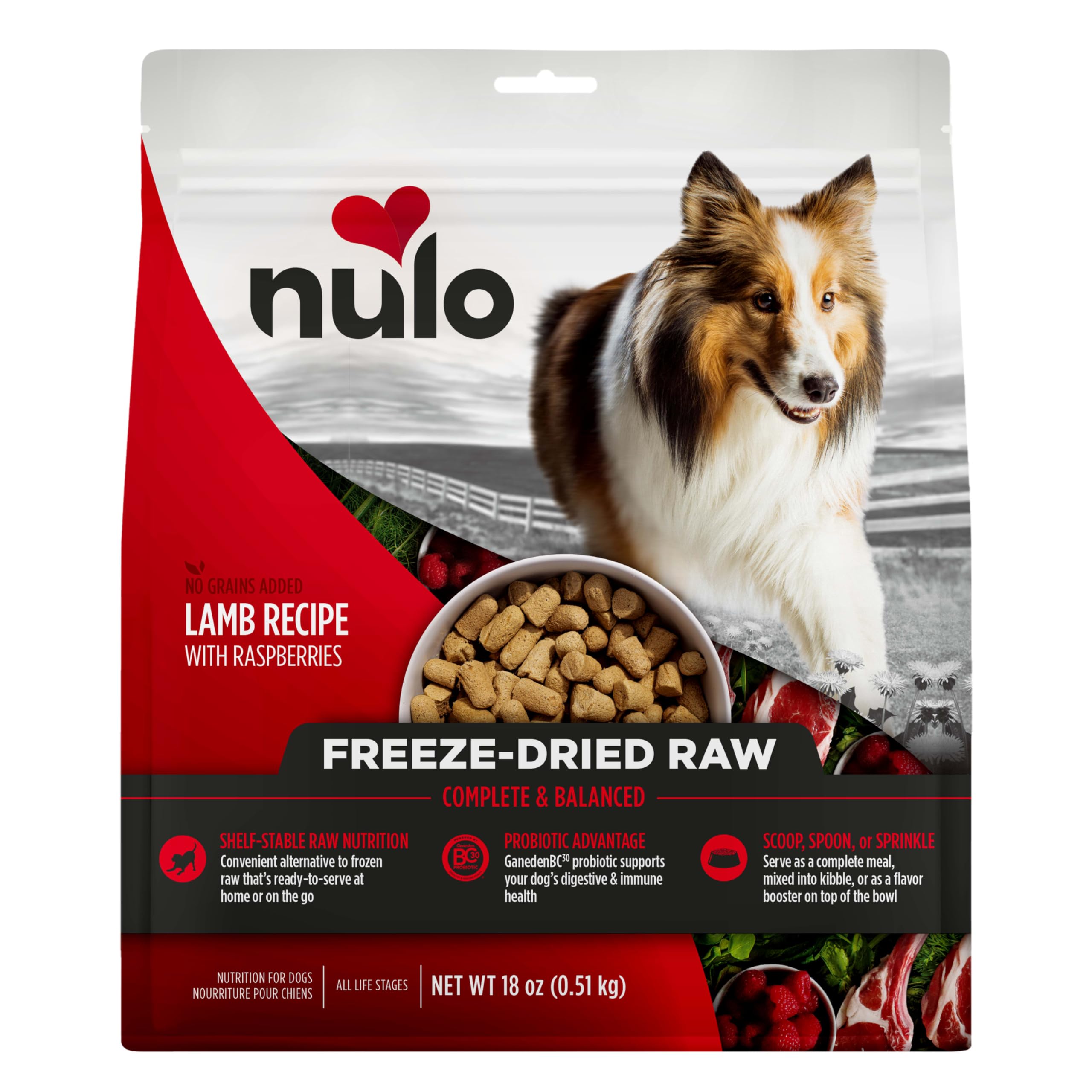 Nulo Freeze-Dried Raw Lamb Recipe with Raspberries Complete and Balanced Dry Dog Food Kibble, 18 Ounce Bag