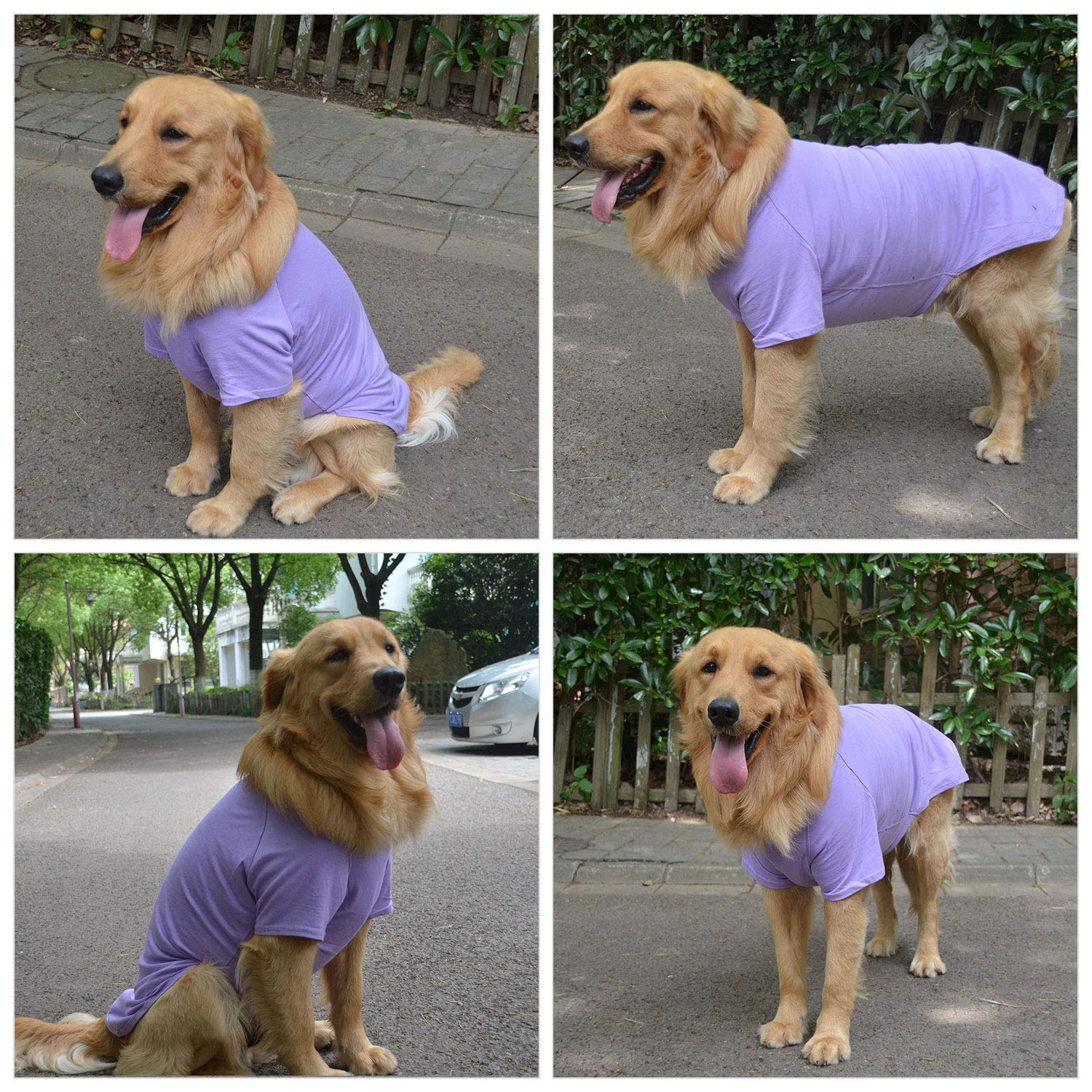 Lovelonglong Pet Clothing Dog Costumes Basic Blank T-Shirt Tee Shirts For Medium Large Dogs Violet Xxl+