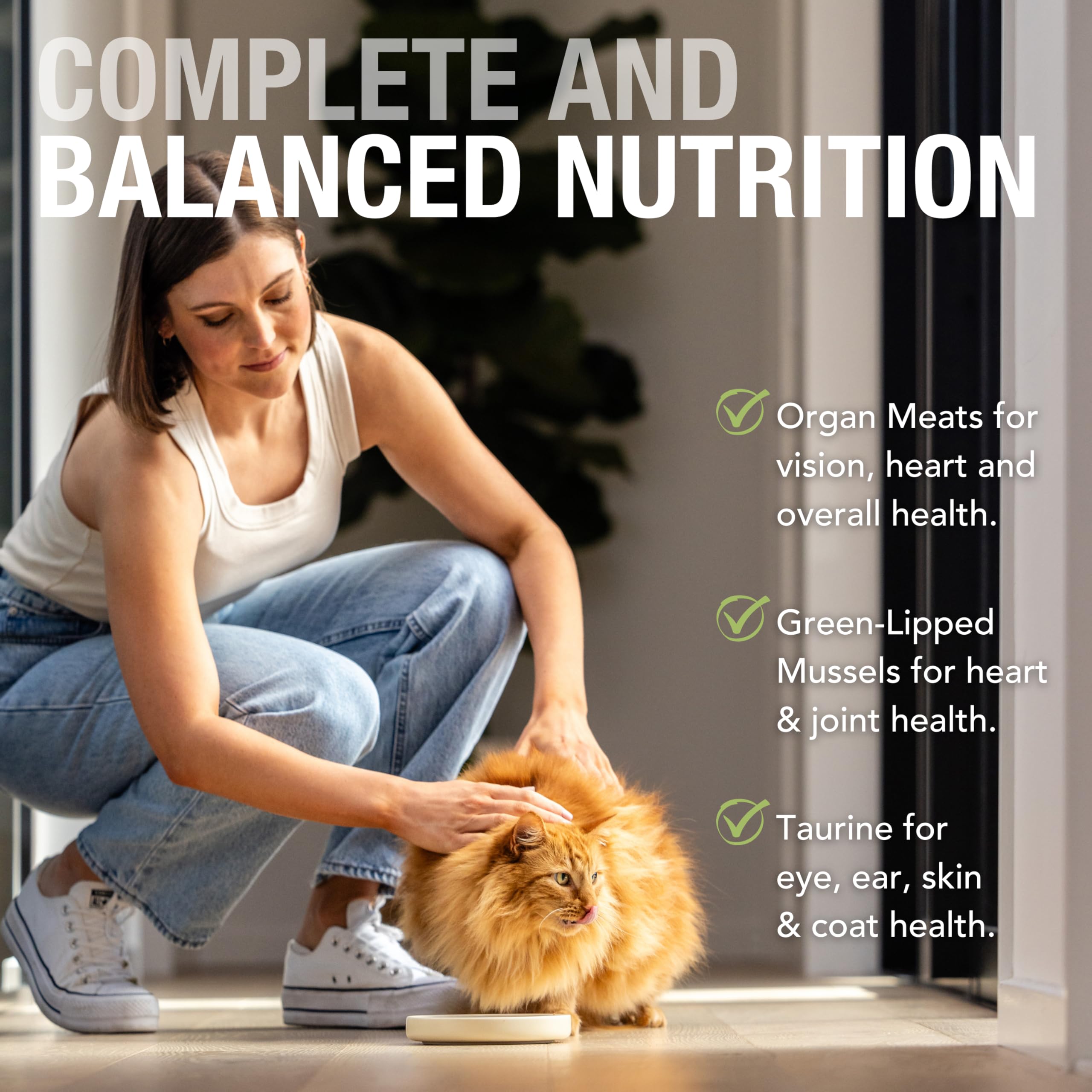Feline Natural Wet Cat Food Pate - Chicken & Lamb Feast, 3oz Cans (Pack of 24), Grain-Free Recipe, New Zealand Sourced Ingredien