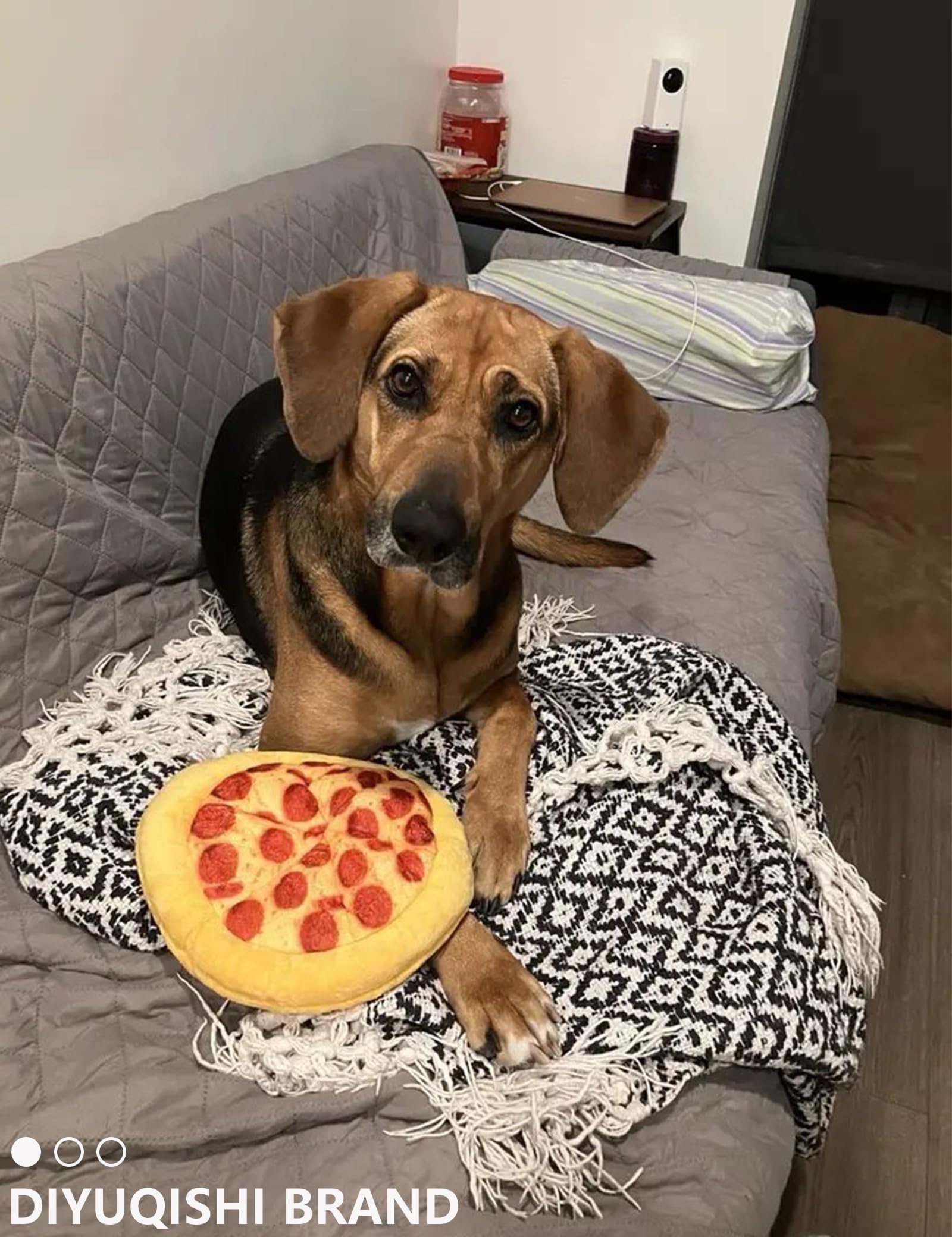Diyuqishi Puppy Toys, Large Pizza, Practice Chewing And Cleaning Teeth For Small And Medium Breed Sizes (9.5'', Deluxe Puppy Toy