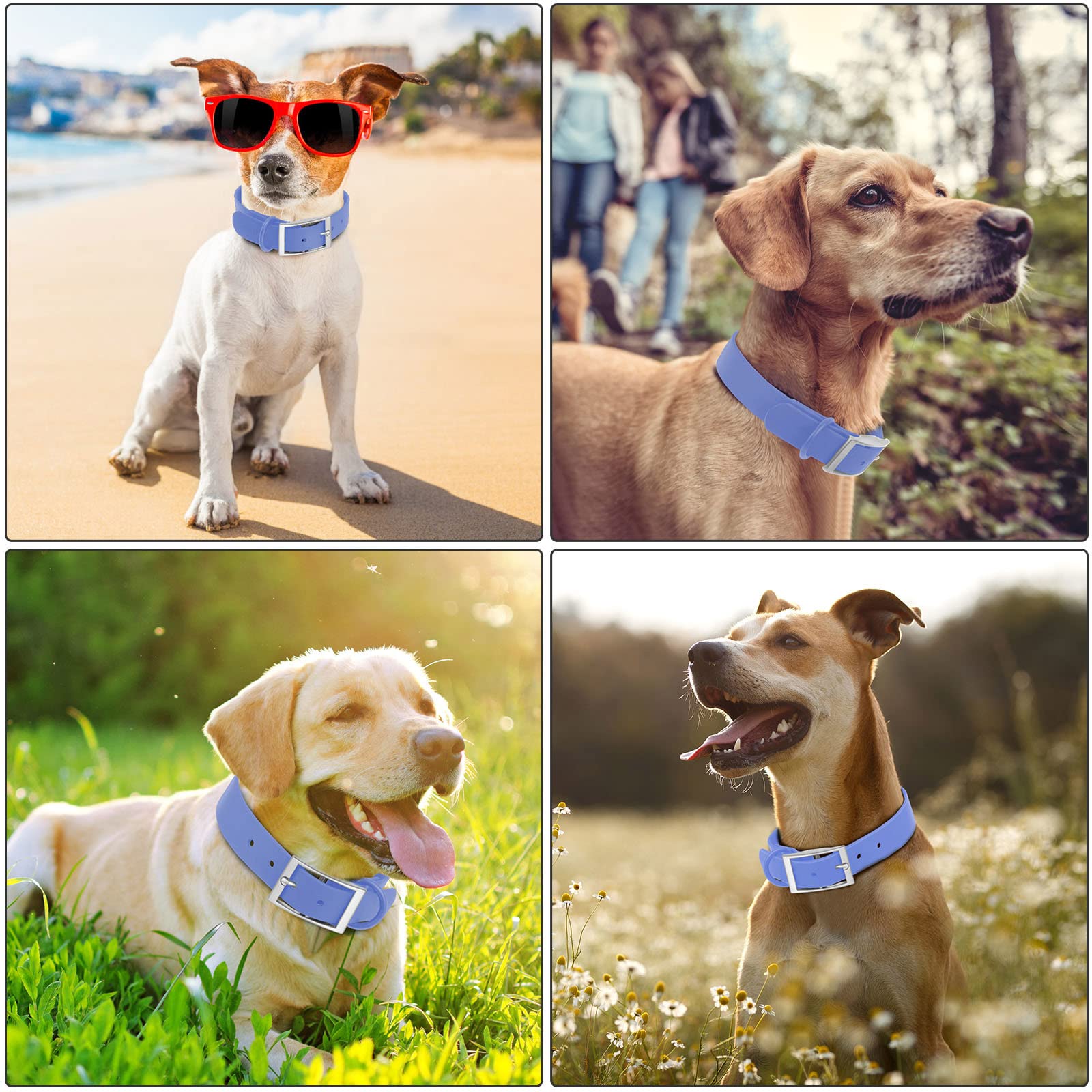Wisedog Waterproof Dog Collar: Multiple Adjust 8.5” To 32.6”, Soft Rubber Coated Webbing, Easy To Clean, For Small Medium Large Dogs (M(Length:12'-16'; Width:0.8'), Blue)