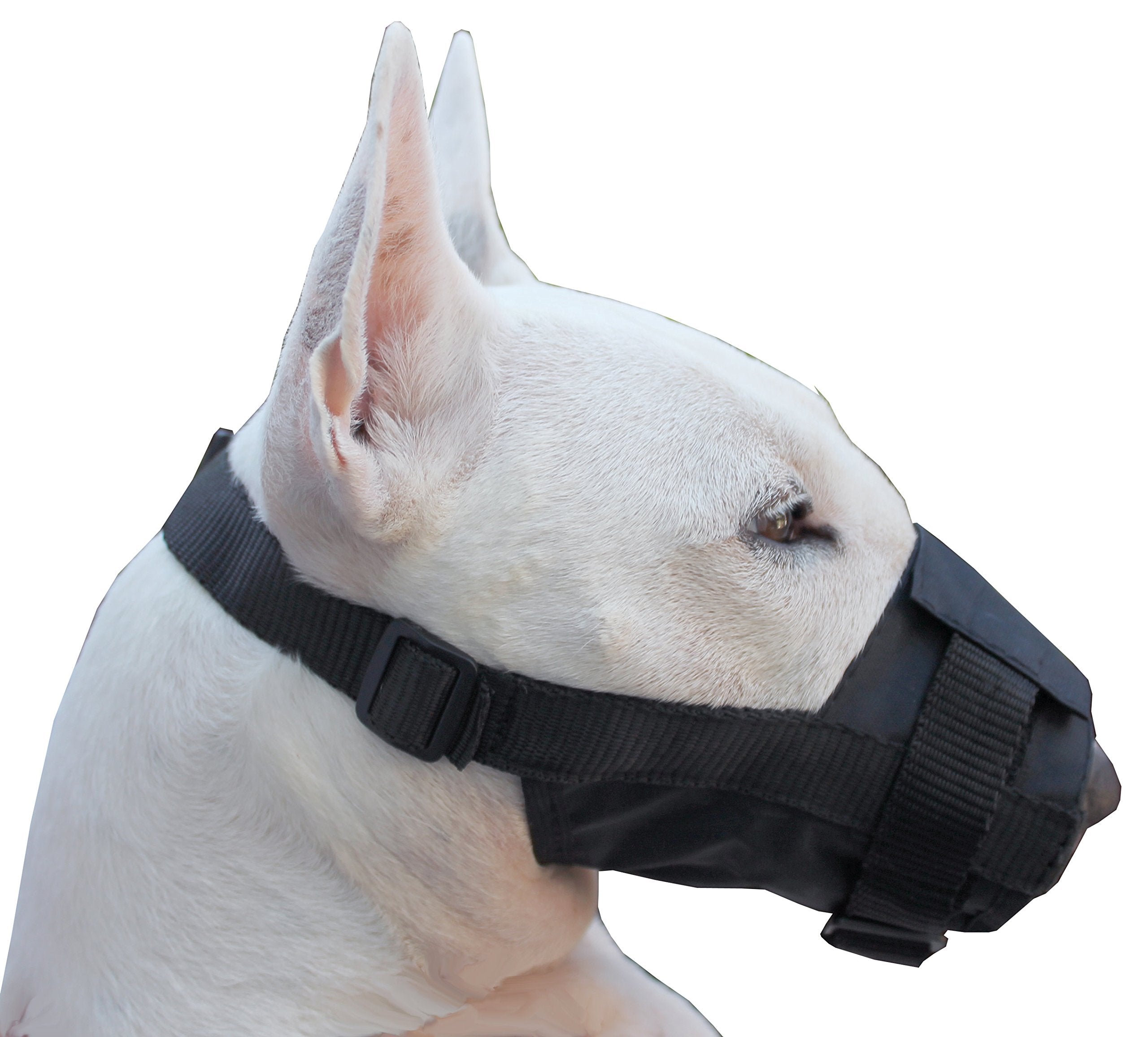Nylon Dog Muzzle Adjustable Black (Small: 5.5'-7.5' Snout)