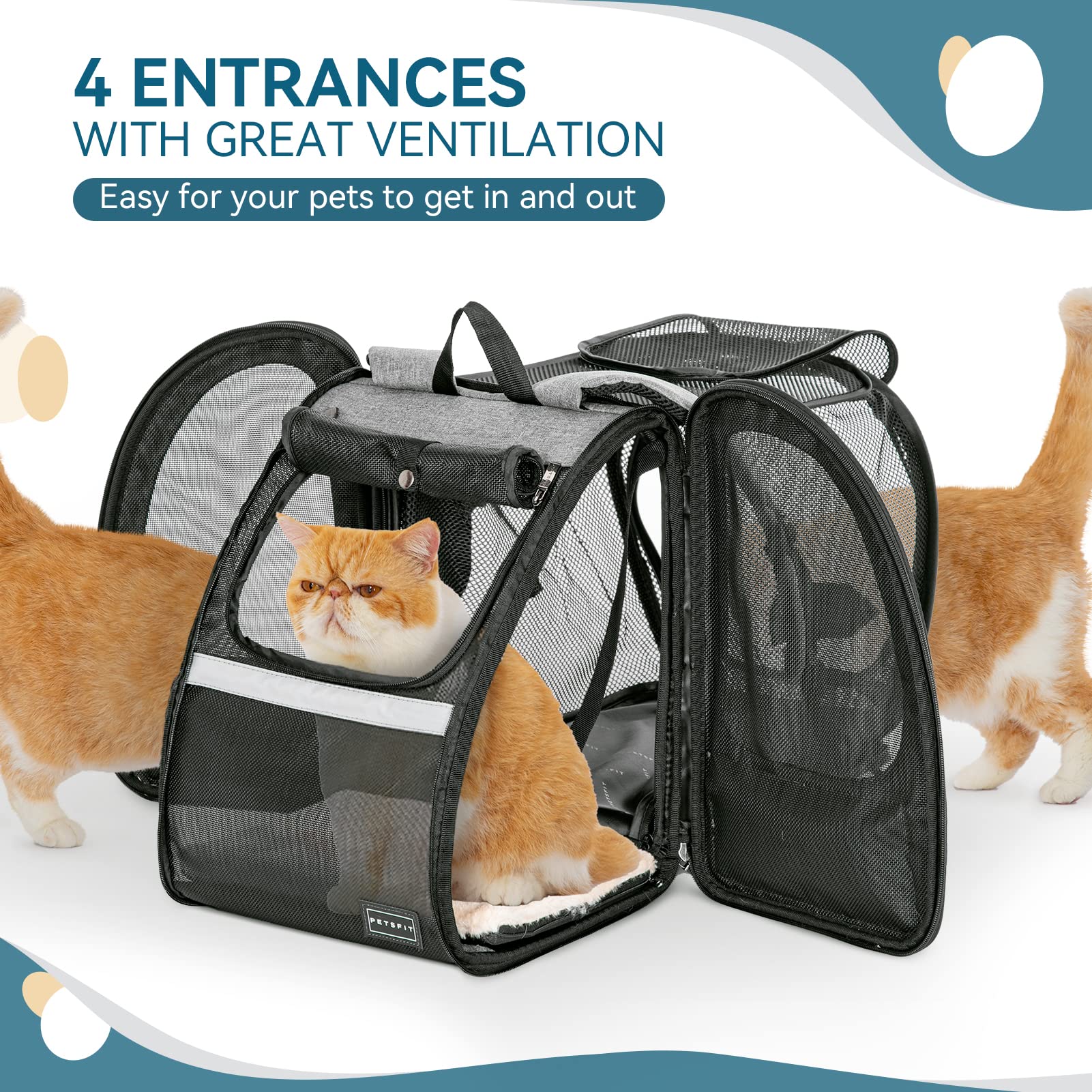 Petsfit Dog Backpack Carrier,Cat Backpacks Expandable with Great Ventilation,Fleece Mat,Perfect for Hiking,Camping Hold Pets Und