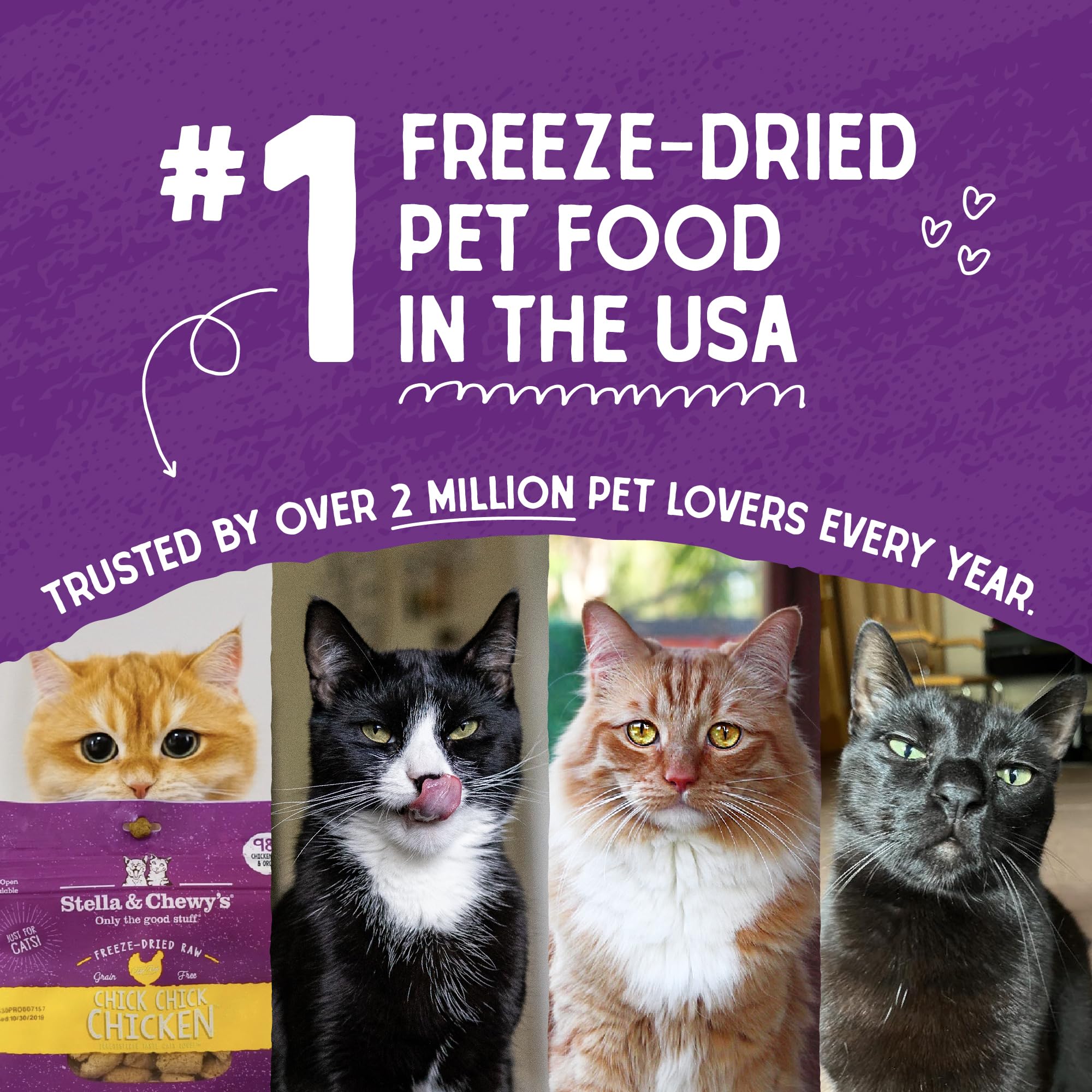 Stella & Chewys Freeze-Dried Raw Cat Dinner Morsels - Grain Free, Protein Rich Cat & Kitten Food - Plate Lickin Pork Recipe -