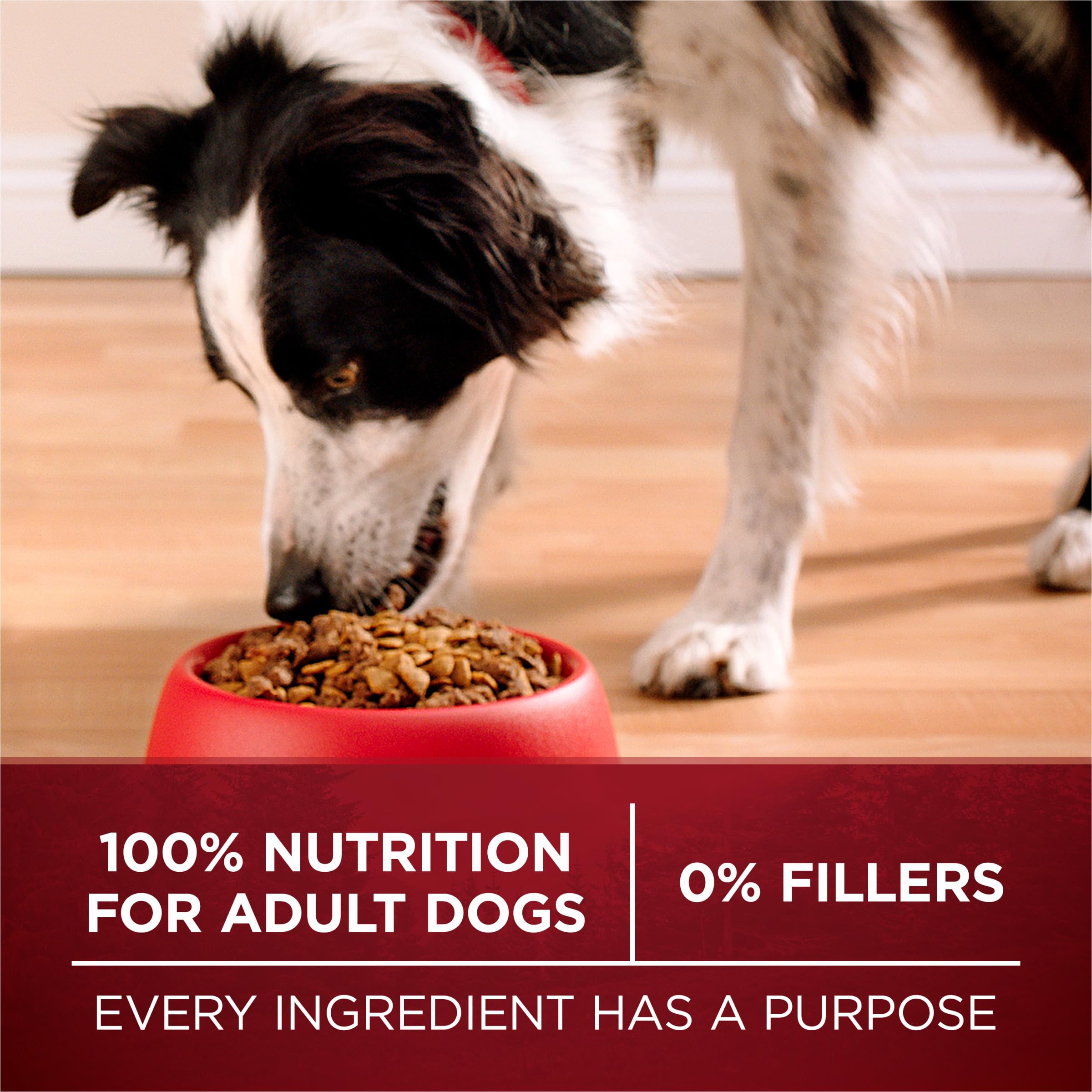 Purina ONE Grain Free Natural High Protein Dry Dog Food Formula True Instinct with Real Beef with Added Vitamins, Minerals and N
