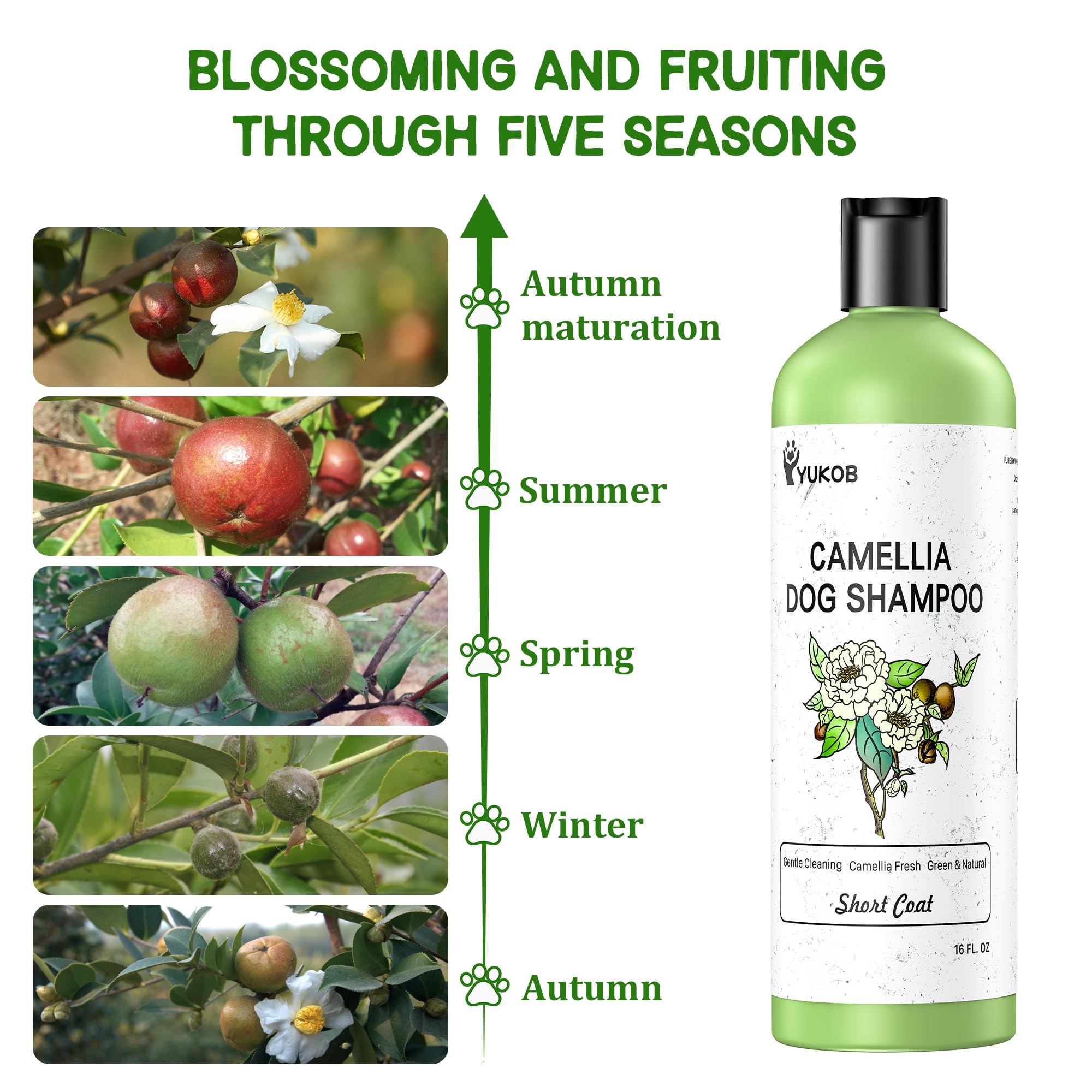 Yukob Dog Shampoo For Allergies & Itching - Natural Camellia Oil Pet Shampoo For Sensitive Skin, Deshedding, Smooth Coat For Sme