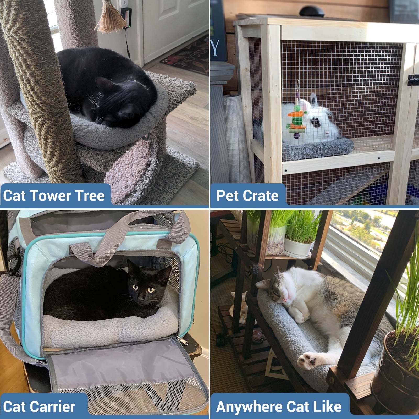 Lesypet Cat Beds For Indoor Cats, Pet Mats For Curl Sleep Plush Cushion Washable Pet Bed For Cats Dogs With Anti-Slip Bottom, Medium 24' X 18'