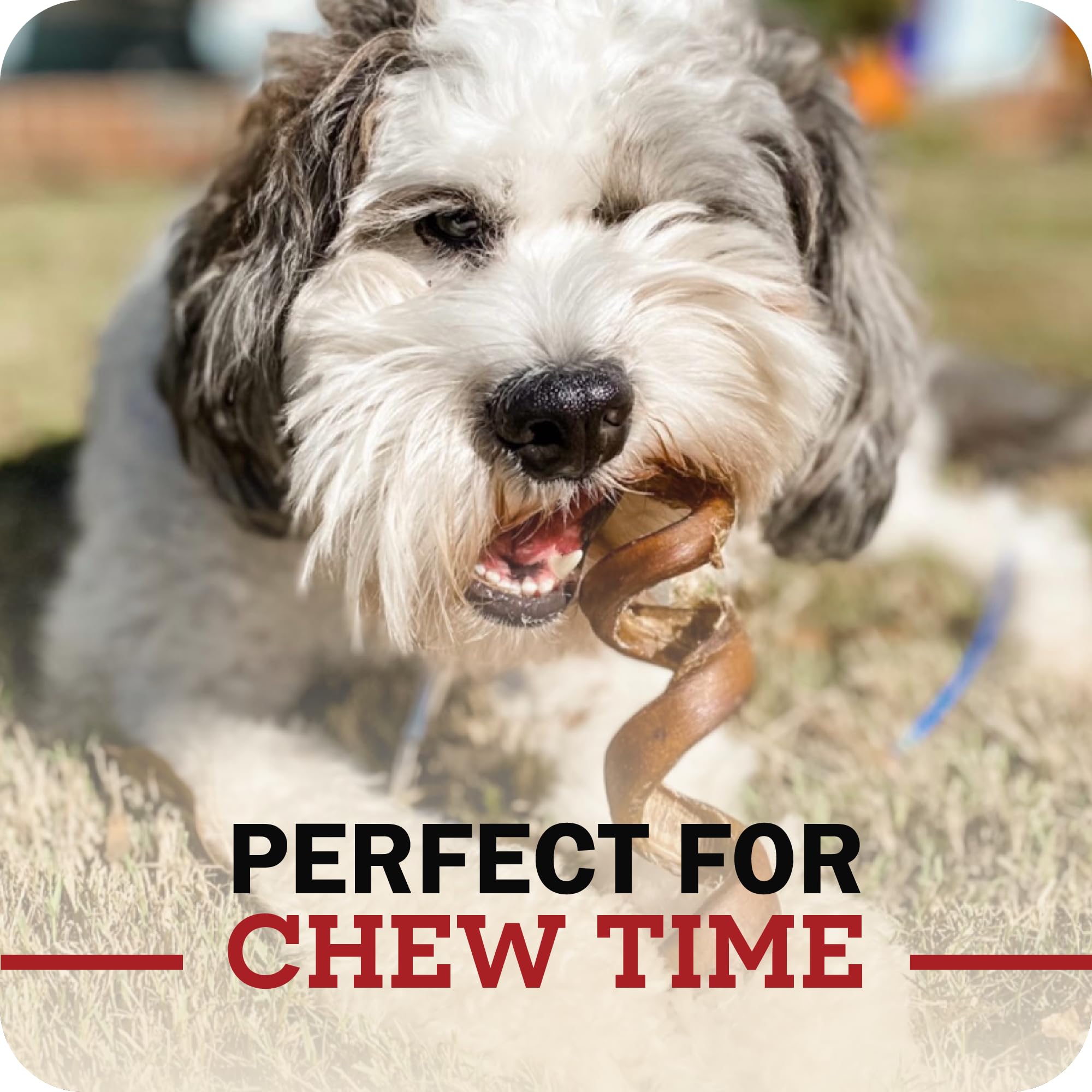 Redbarn Pet Products All-Natural 12 Braided Bully Sticks for Dogs - Premium Grain-Free & Rawhide-Free Single Ingredient Long Las