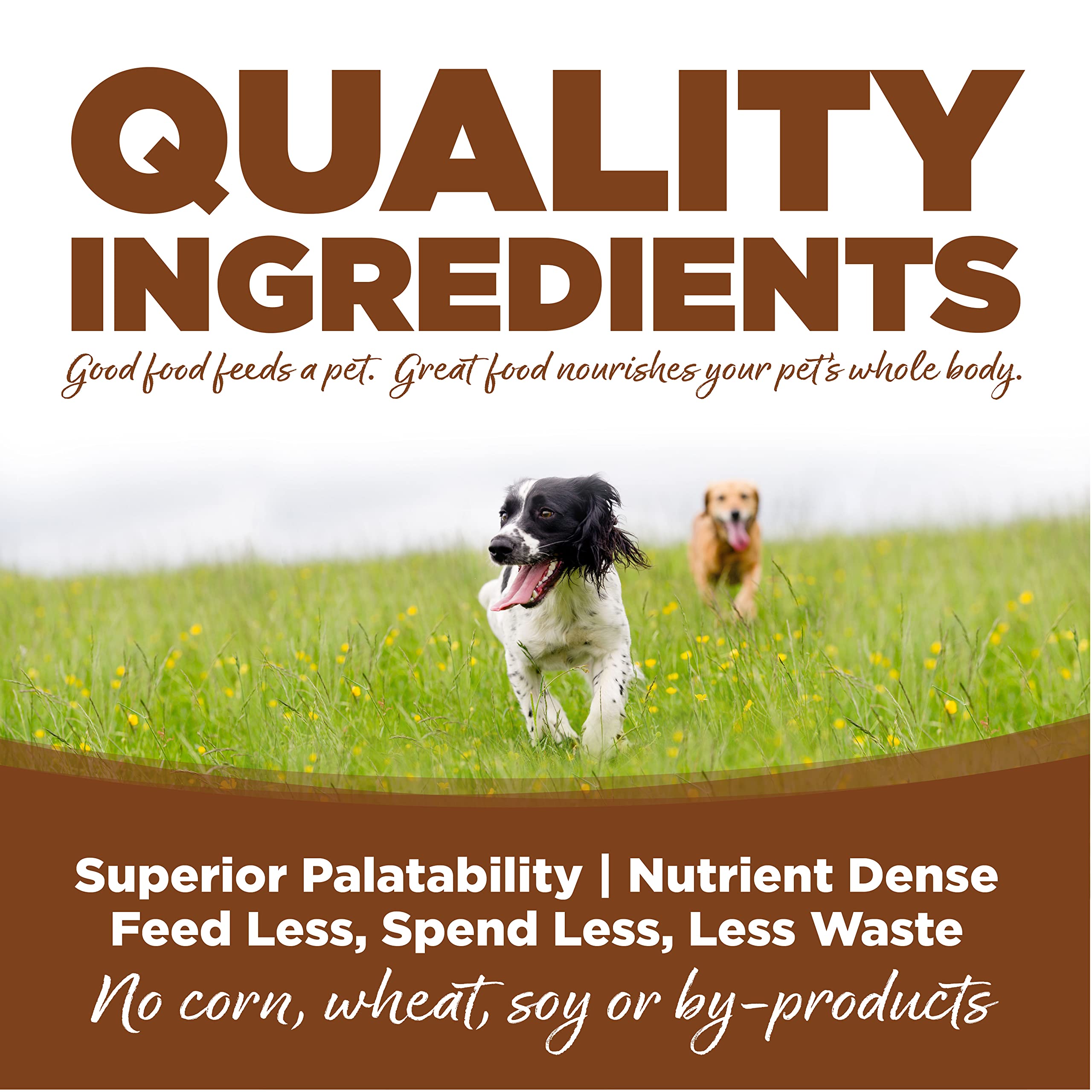 NutriSource Adult Dry Dog Food for Large Breeds, Lamb Meal and Rice, 26LB