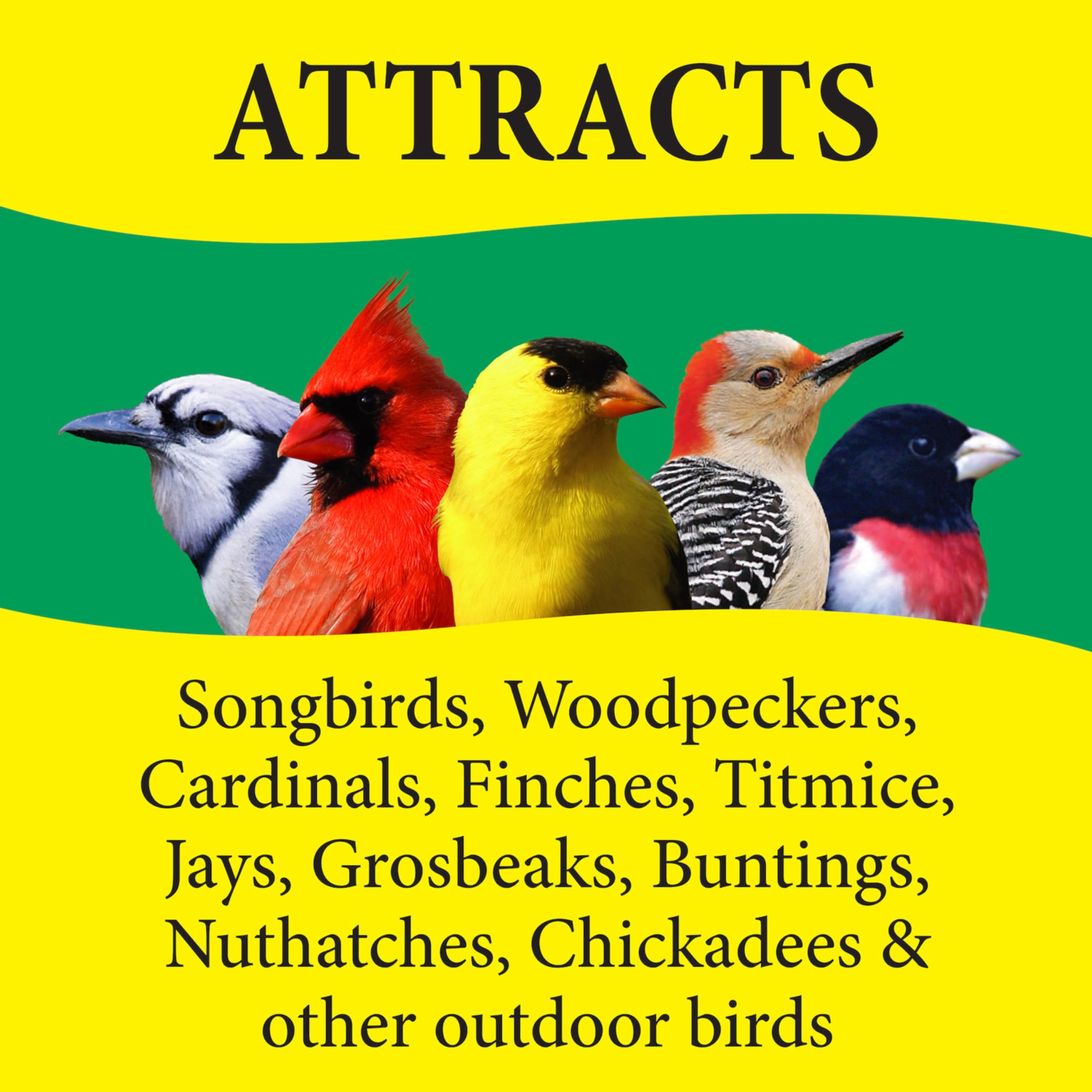 BIRDFOOD NUT N' BERRY 5# (Pack of 1)