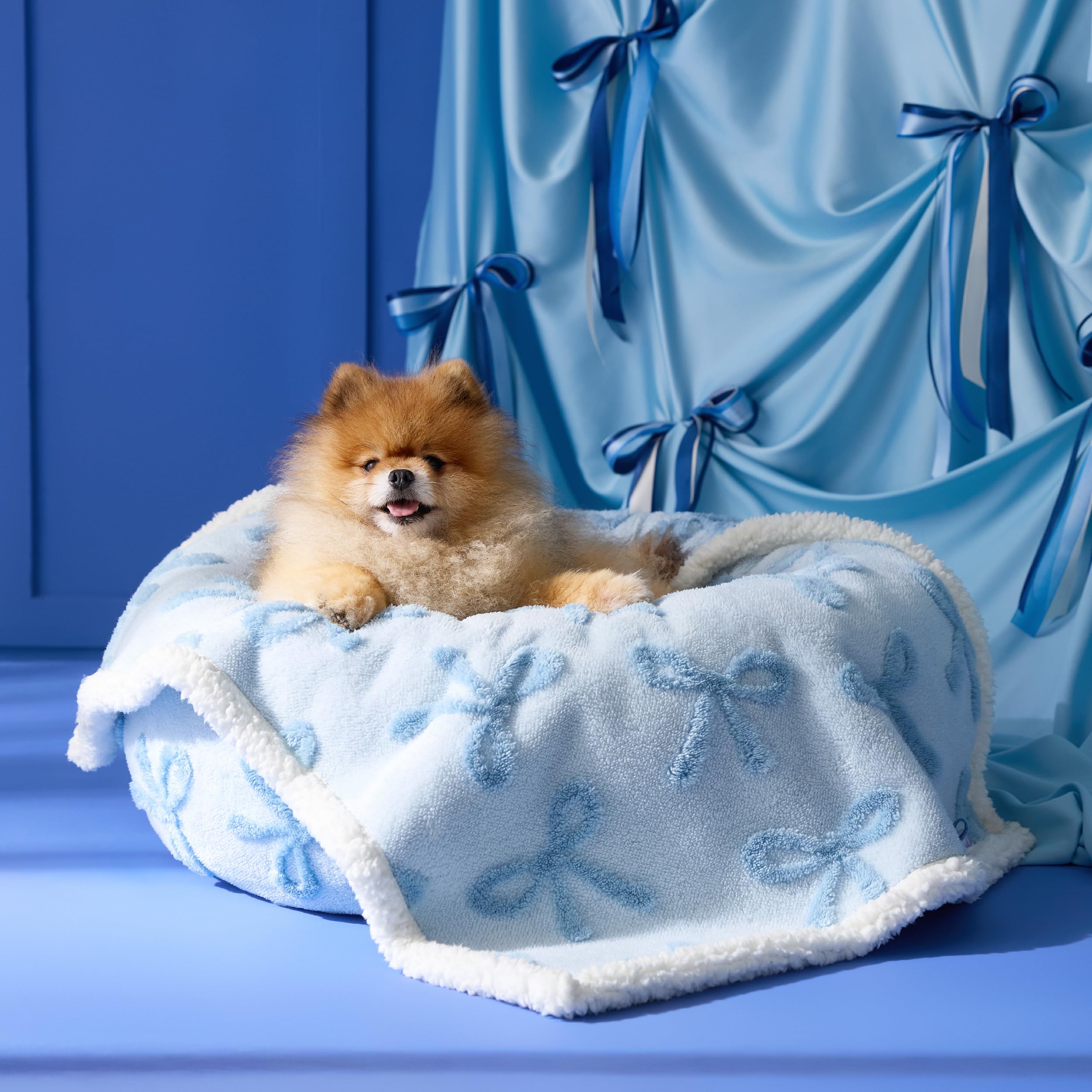 Lesure Waterproof Puppy Blanket For Small Dogs - Washable Double Sided Dog Blankets With Warm Jacquard Shag And Soft Sherpa Flee