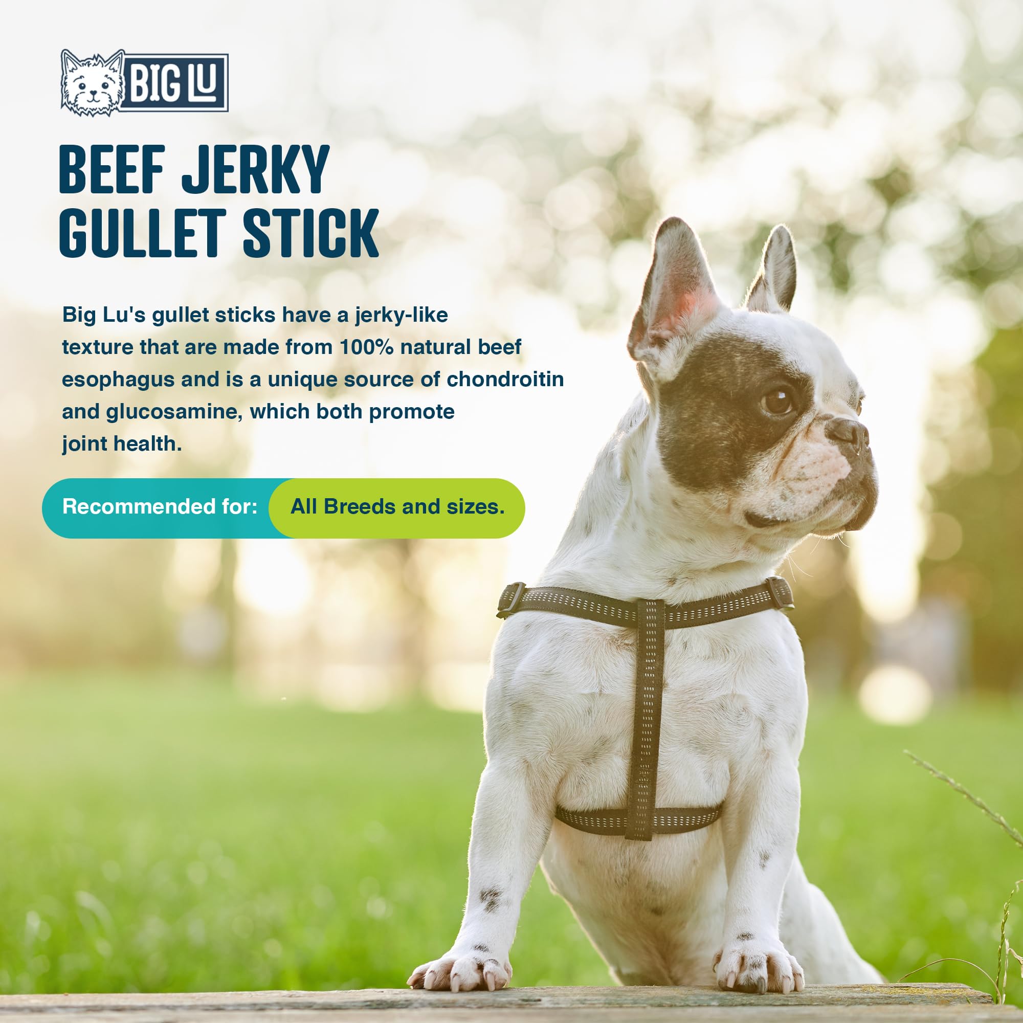 Big Lu Beef Jerky Sticks for Dogs, All-Natural Grass-Fed, 6 Count, High-Protein Treats with Glucosamine for Joint Health