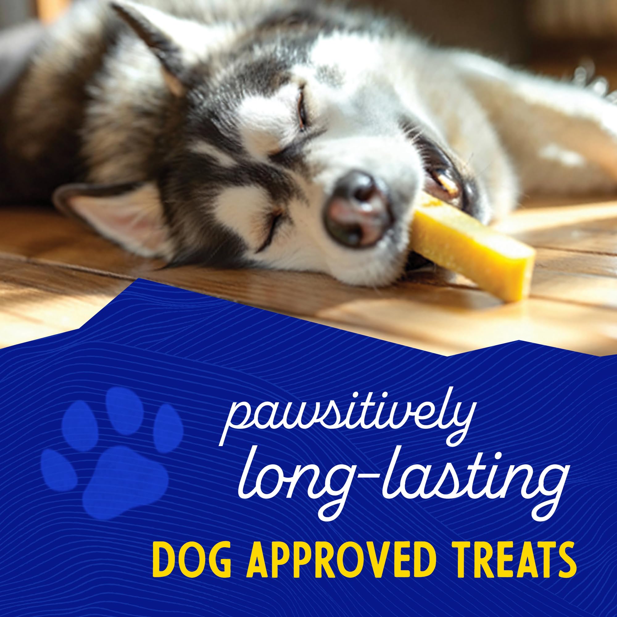 Himalayan Dog chew Original Yak cheese Dog chews, 100 Natural, Long Lasting, gluten Free, Healthy  Safe Dog Treats, Lactose  gra