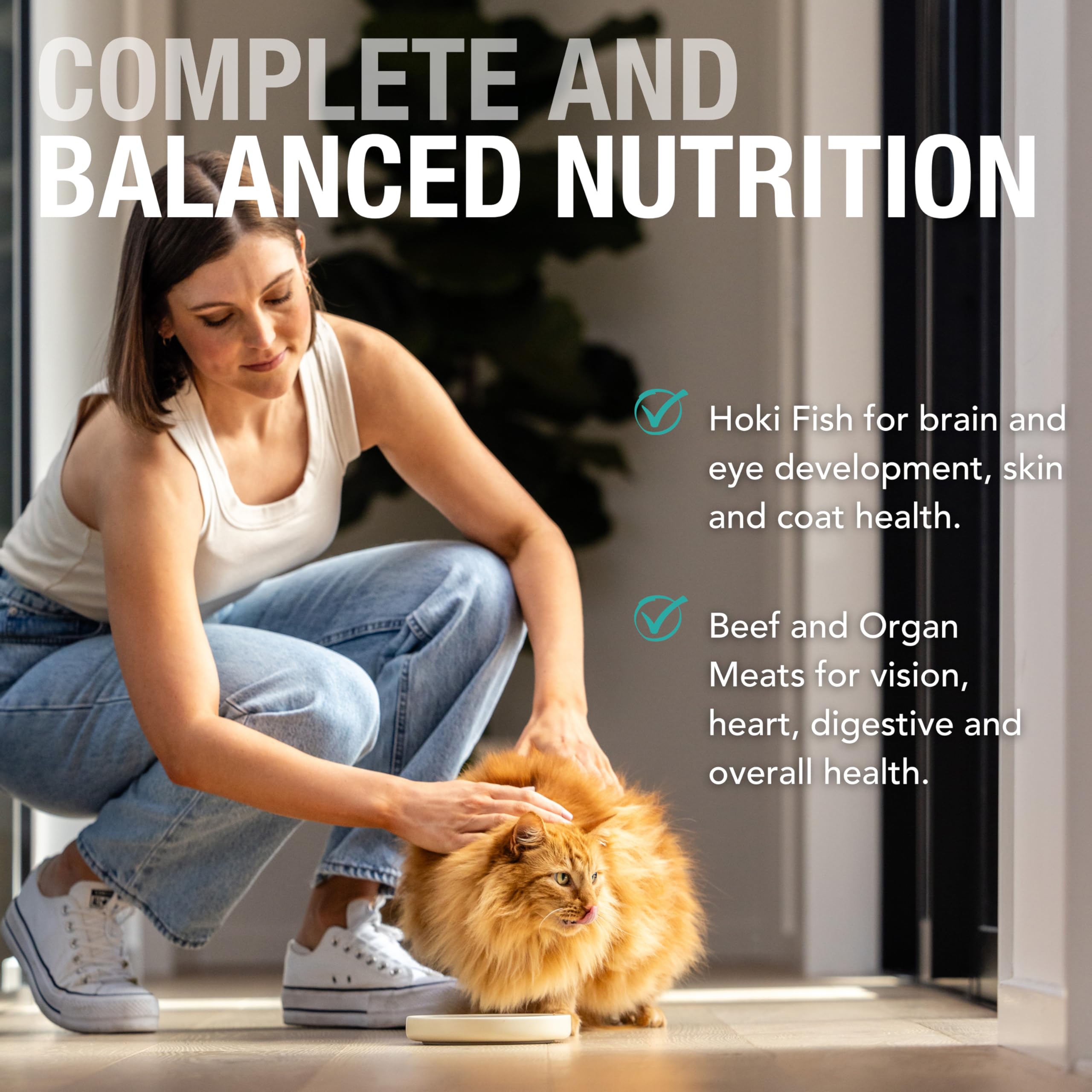 Feline Natural Wet Cat Food Pate, Hoki & Beef Feast, 3 Oz Single Serve Pouch (Pack of 12), Grain Free, Made in New Zealand with